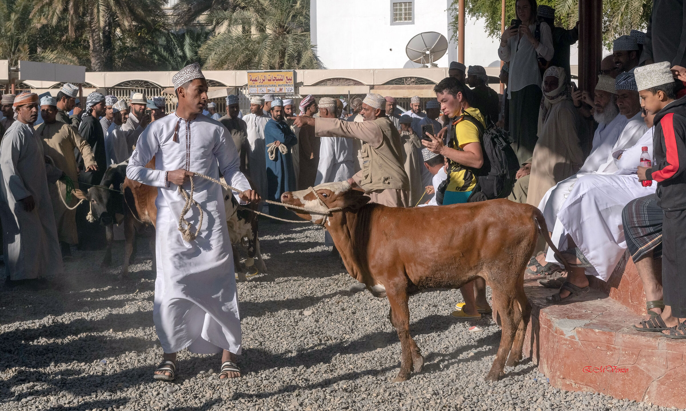 Oman