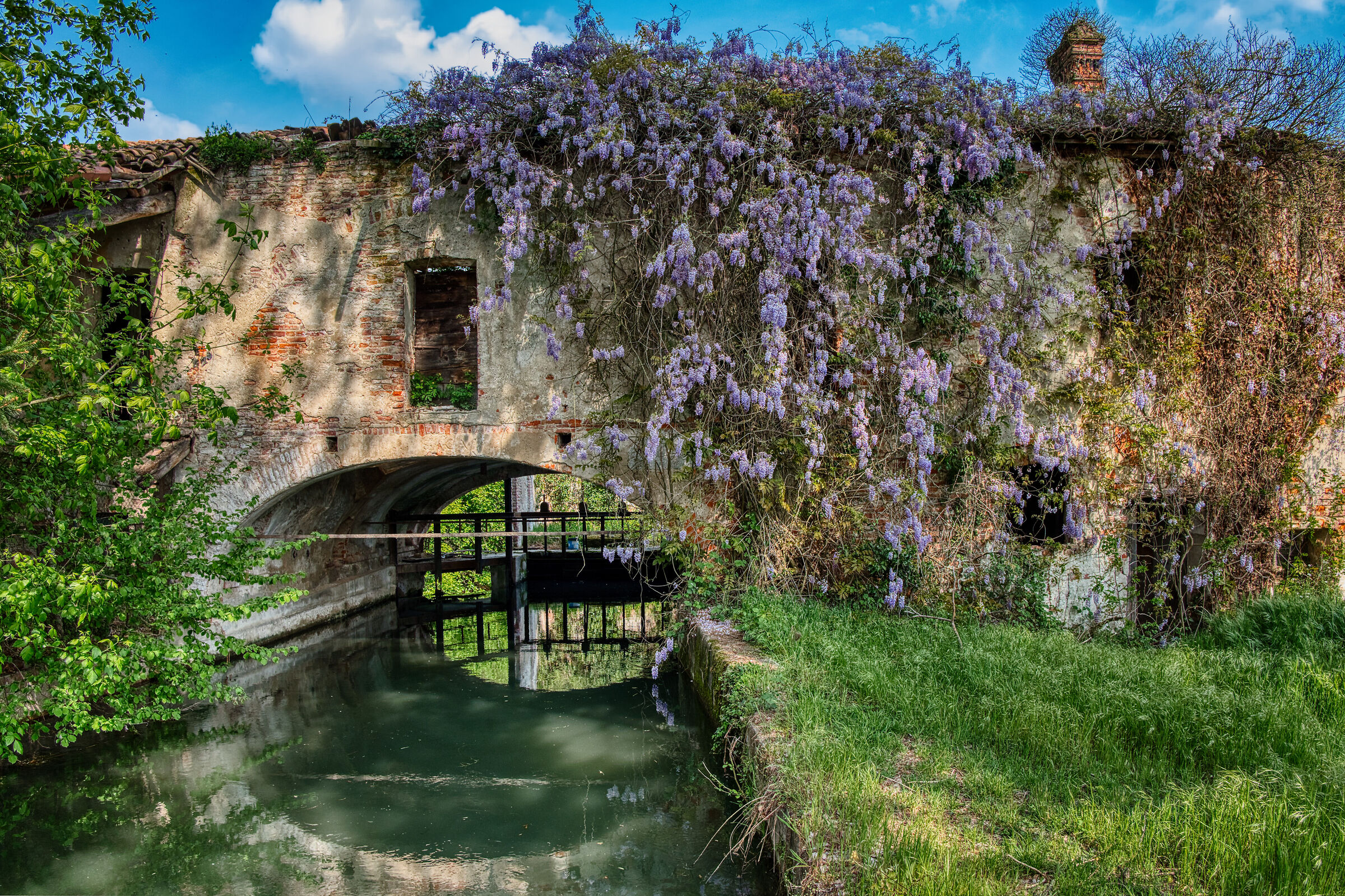 Il mulino e il glicine