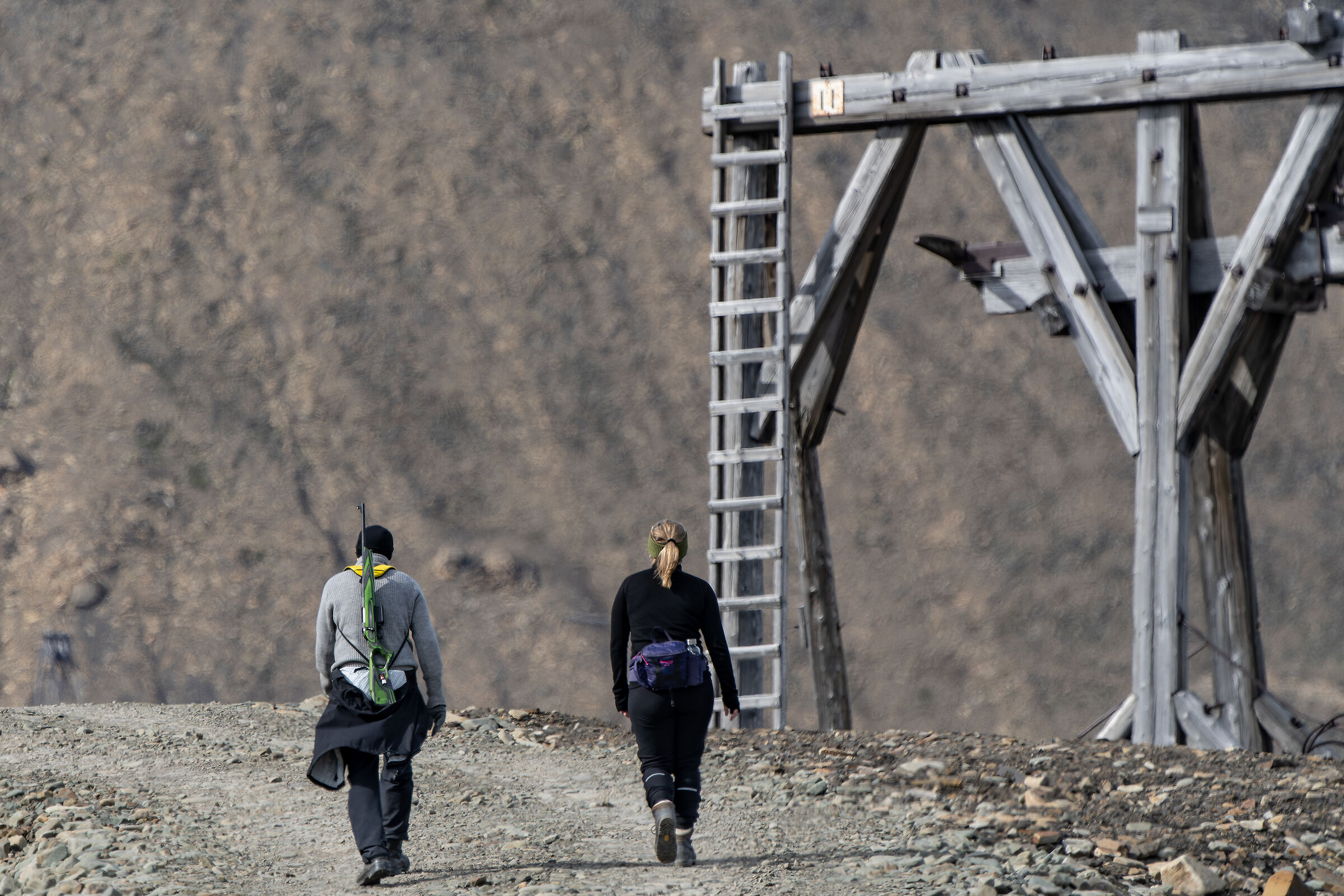 Passeggiando alle Svalbard ( armati )