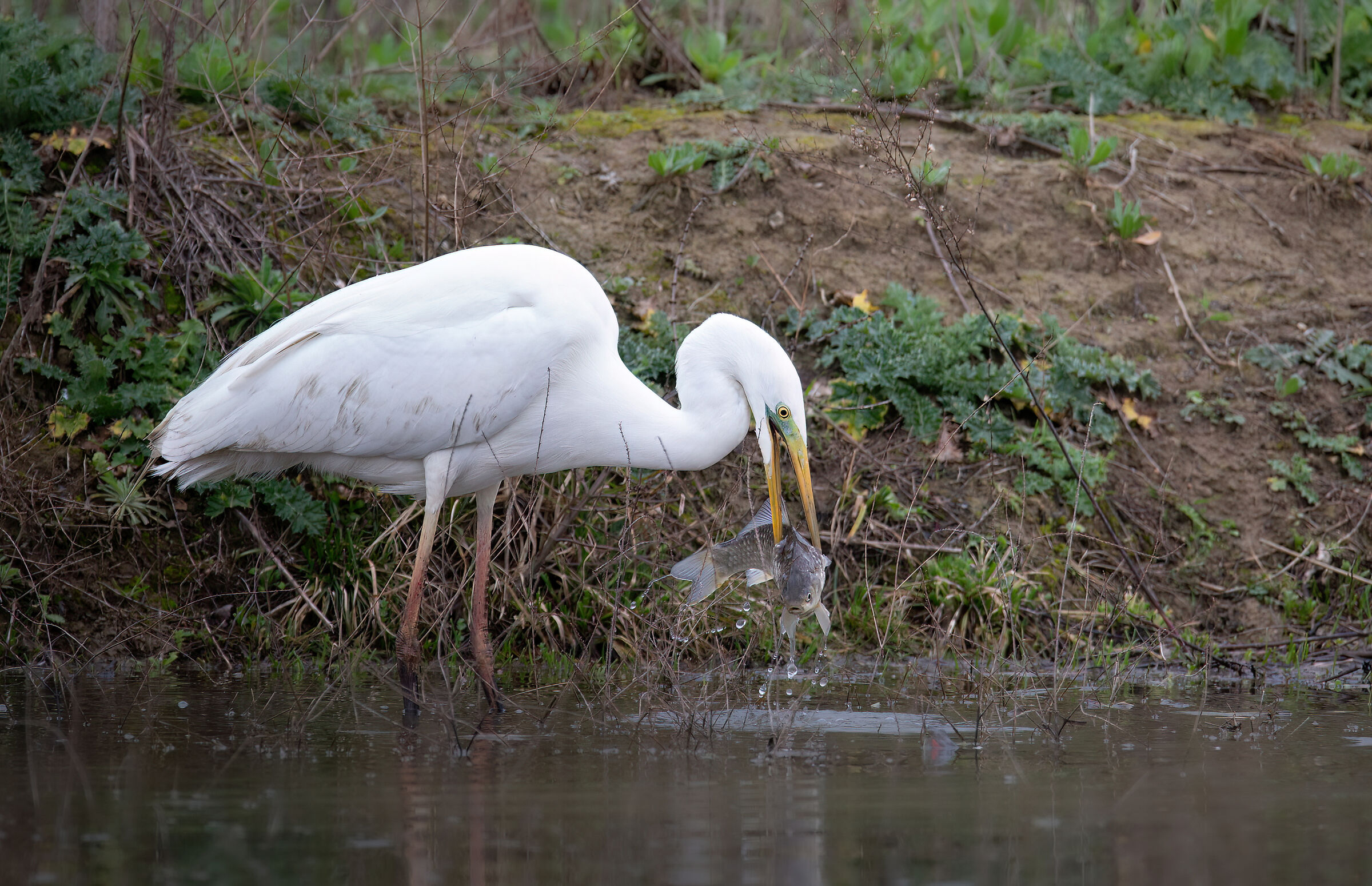 Fishing