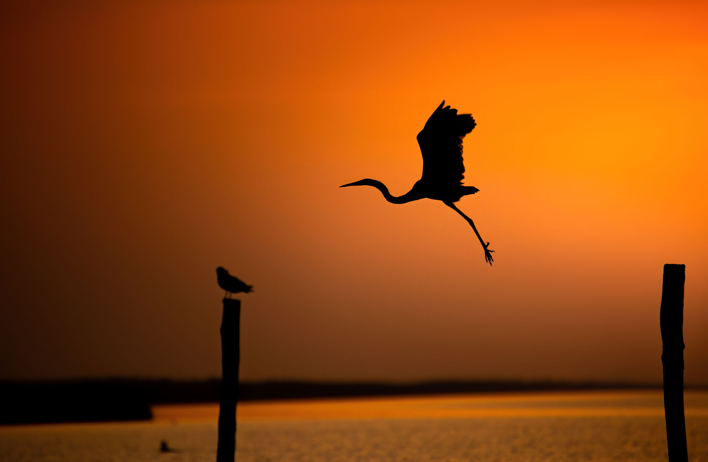Sunset in Comacchio
