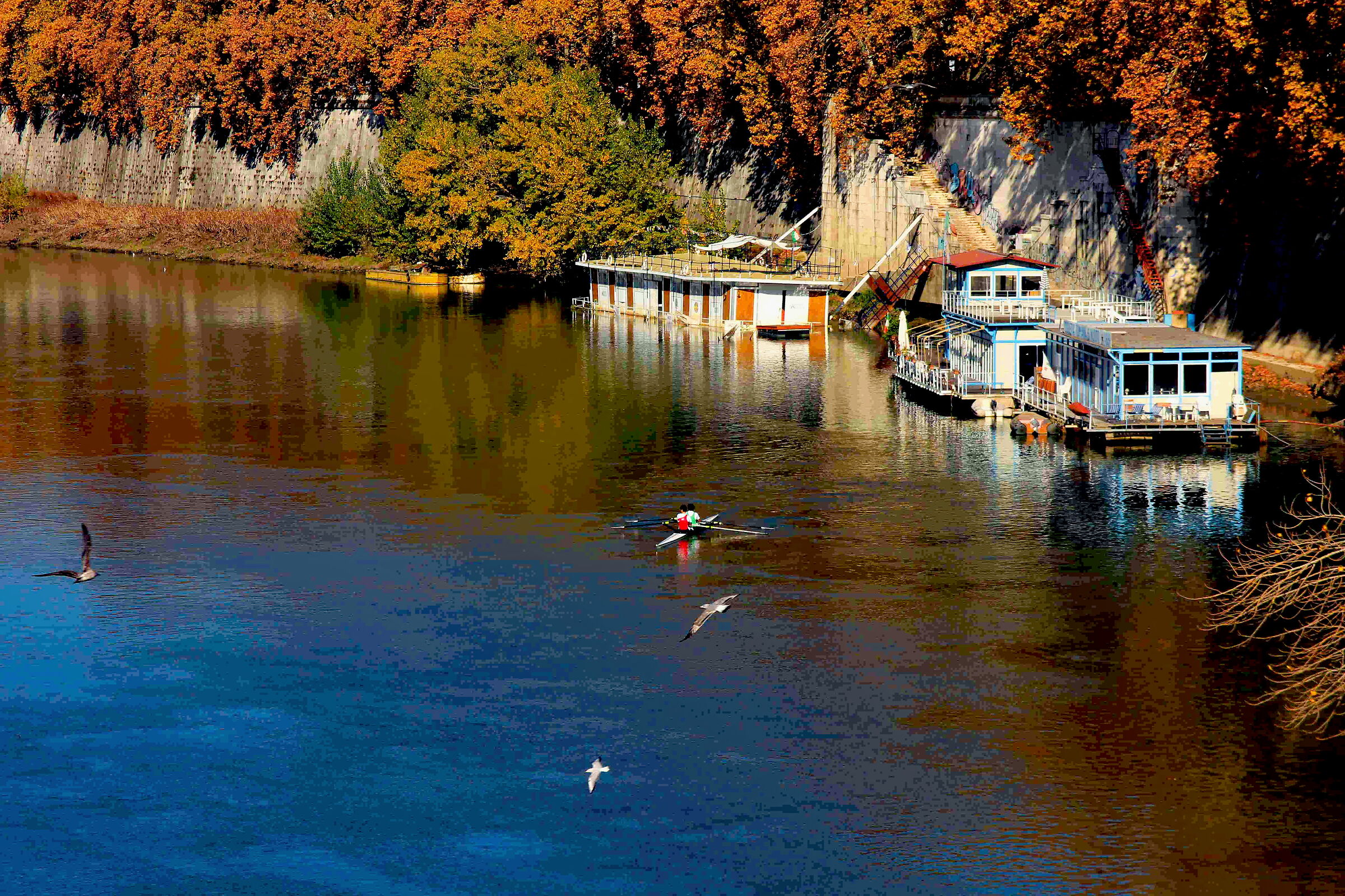 Il Tevere, dove se non sei pratico.......