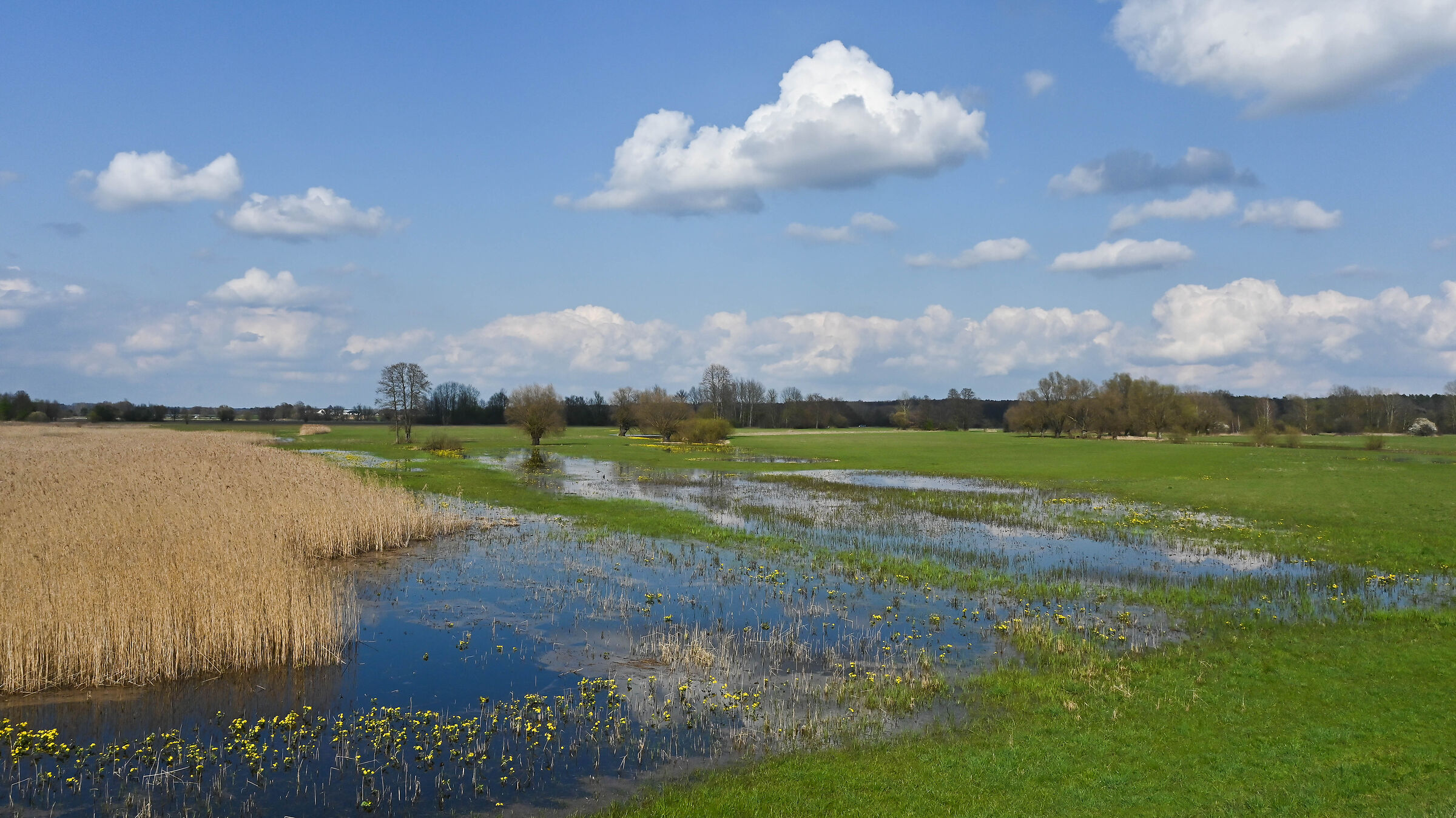 The Bug river valley  14