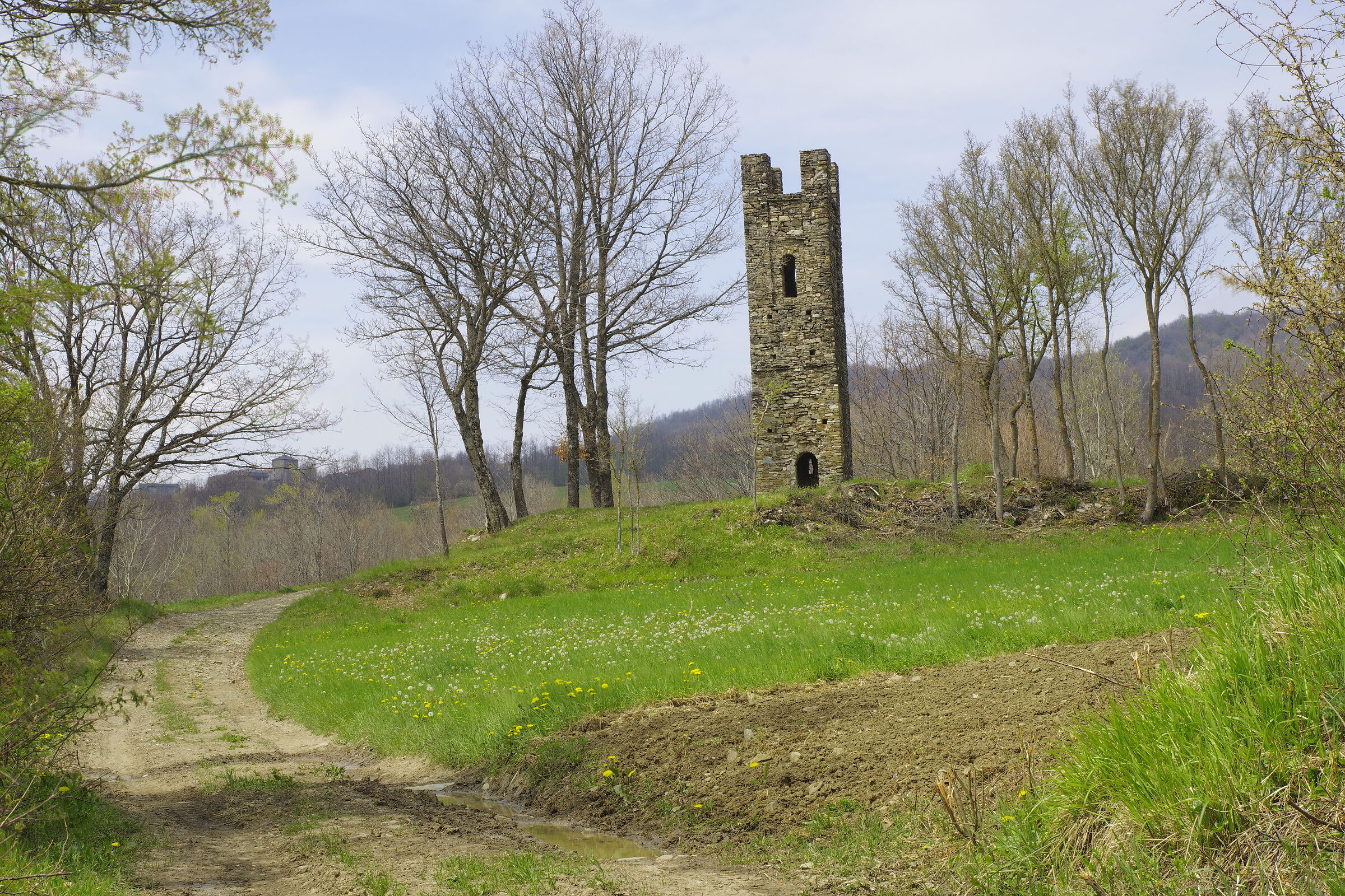 Lonely tower of Gropparello