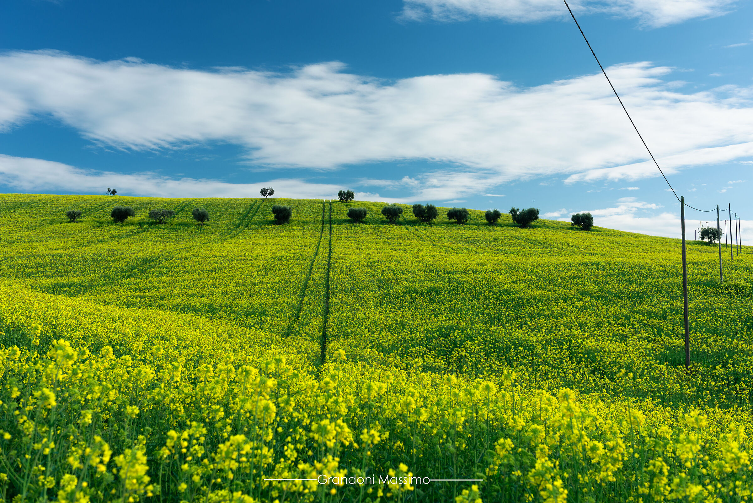 The colors of spring 2