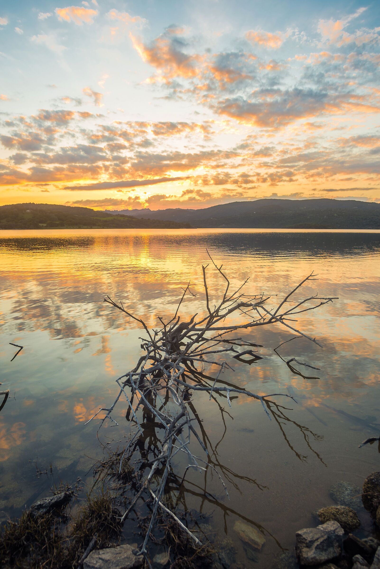 Un tramonto in compagnia delle zanzare