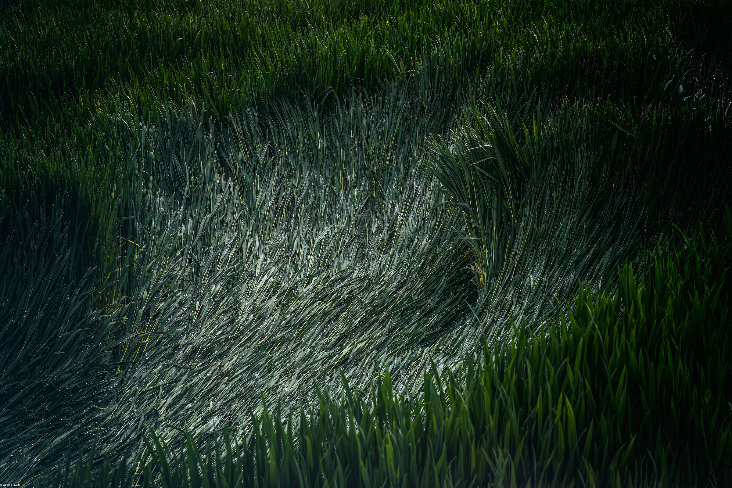 The footprint of the wind