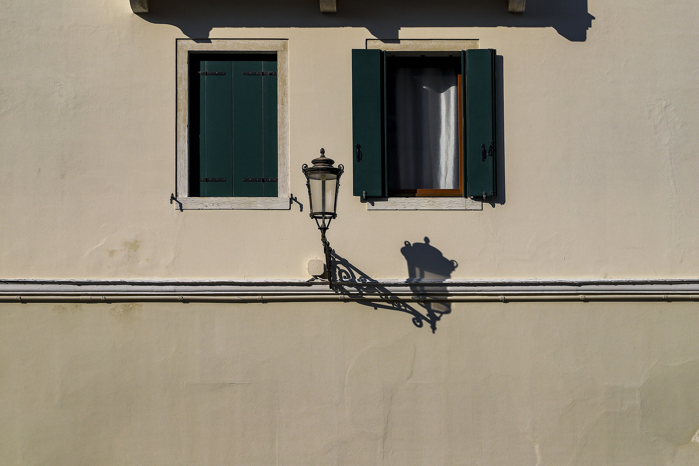 Untitled Photo