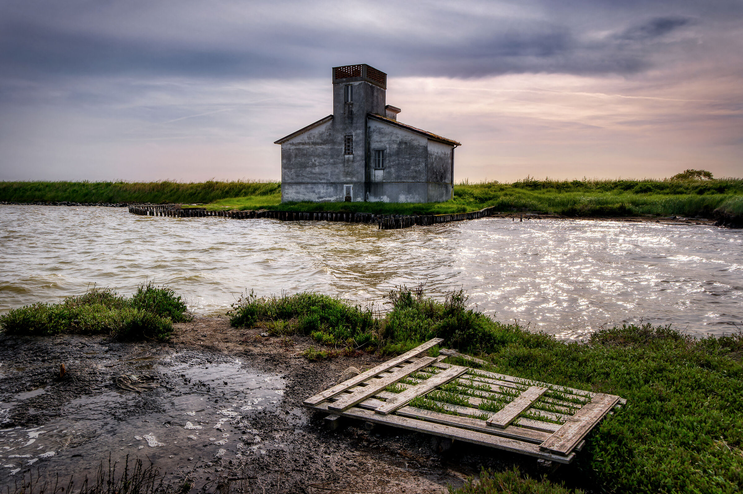 Abbandono nelle Valli di Comacchio