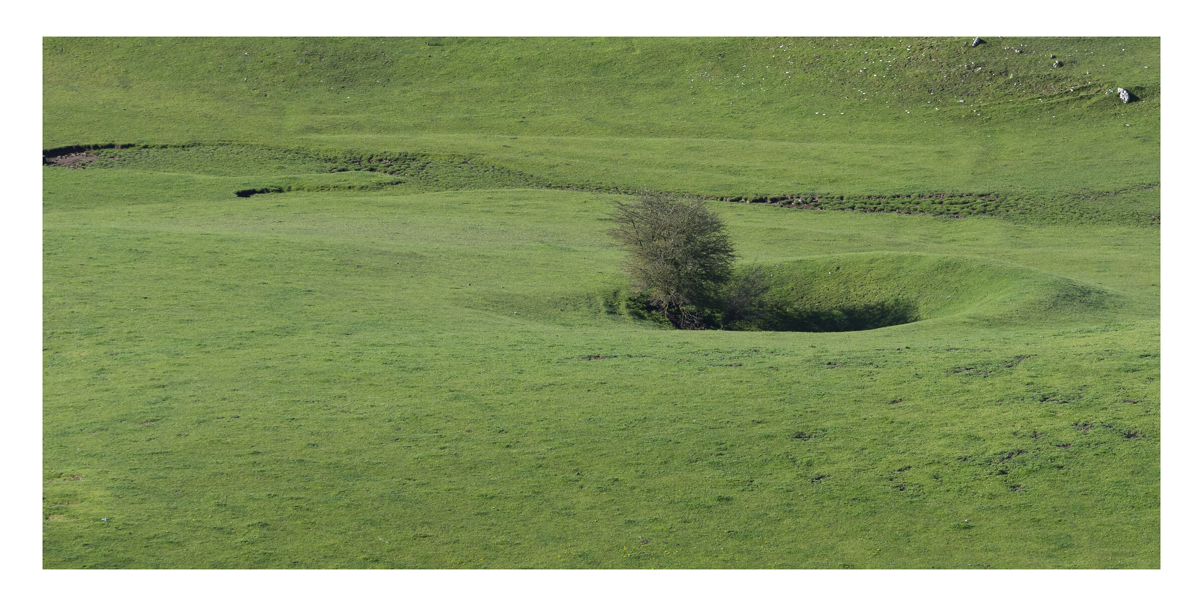 The fight against sinkholes