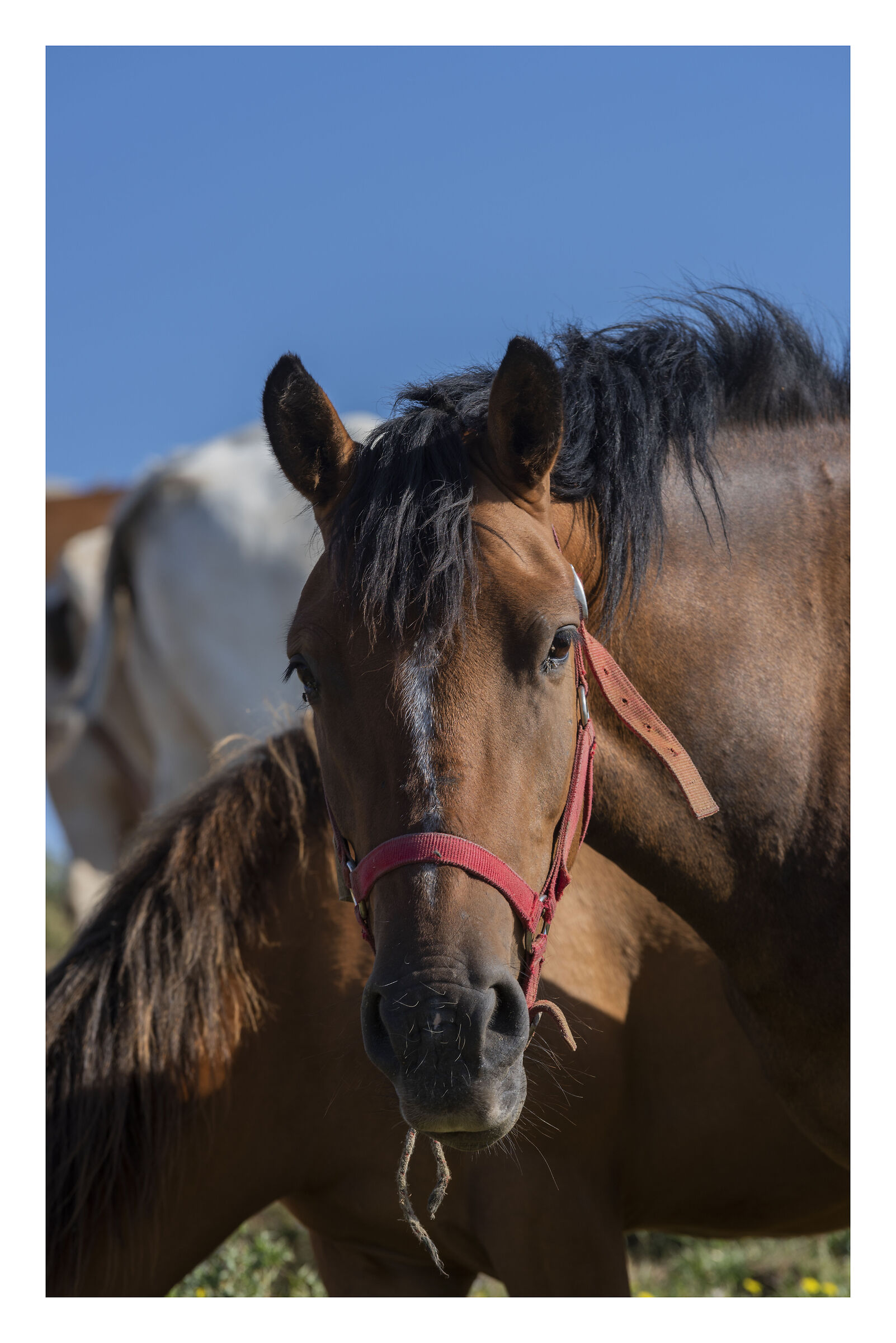 Eri tu che guardavi mio figlio?