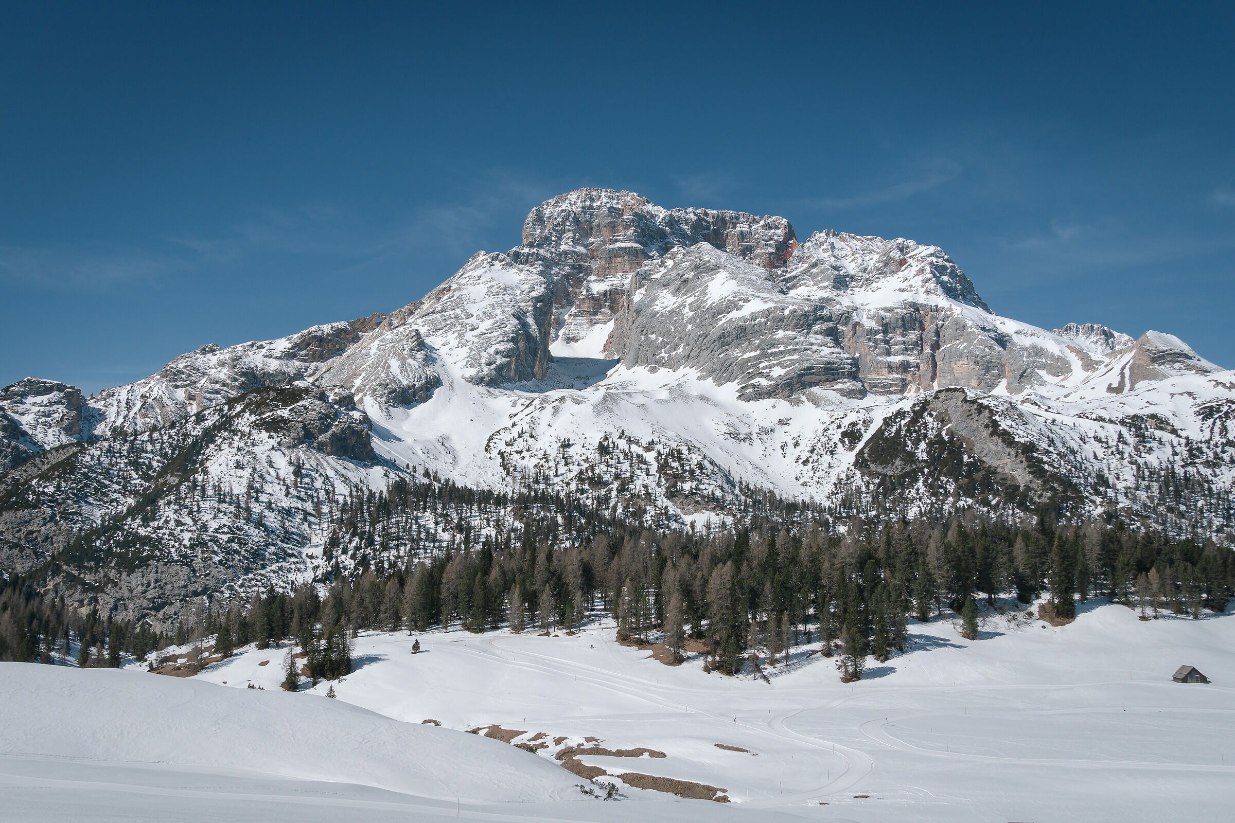 Monte Specie