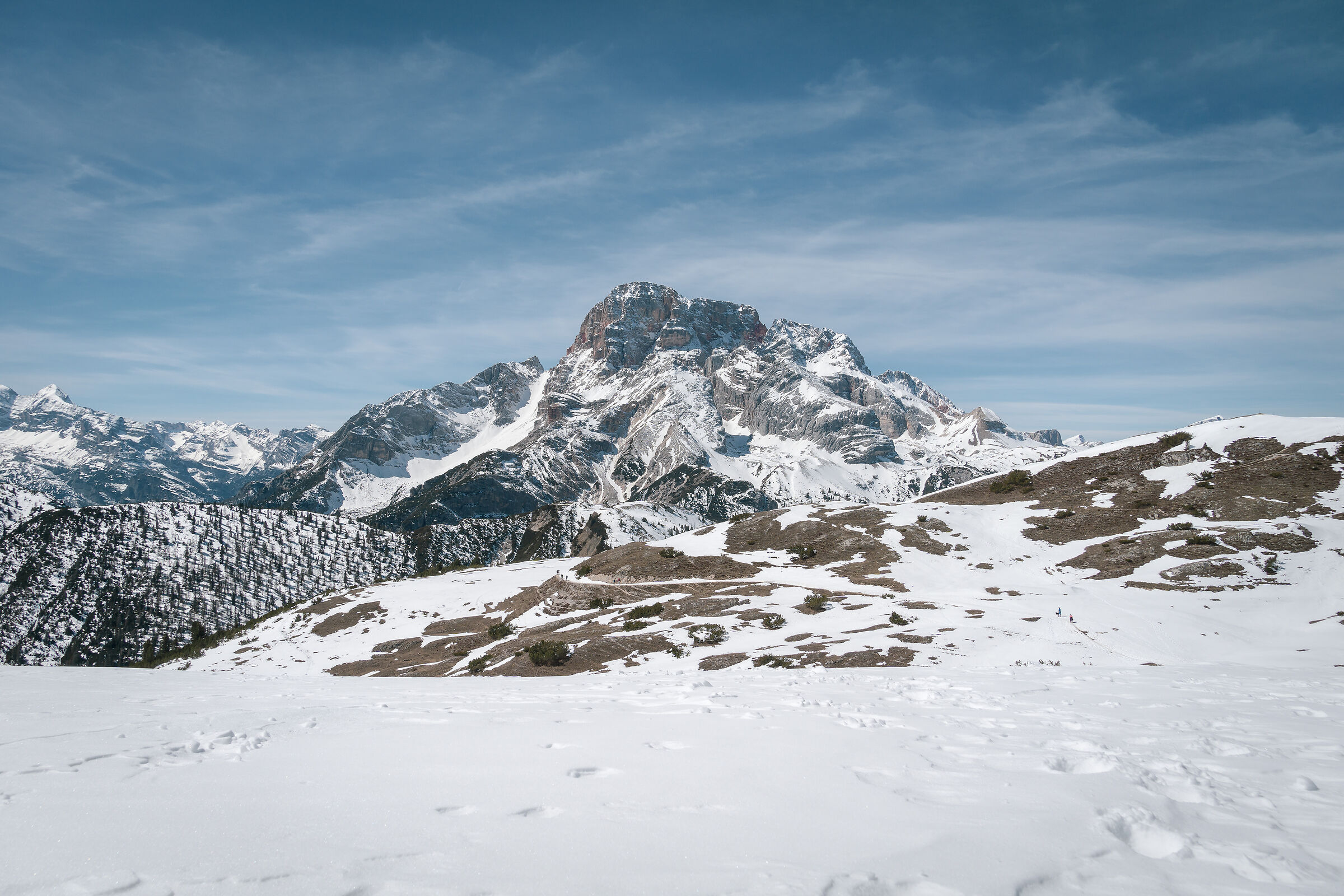 Monte Specie