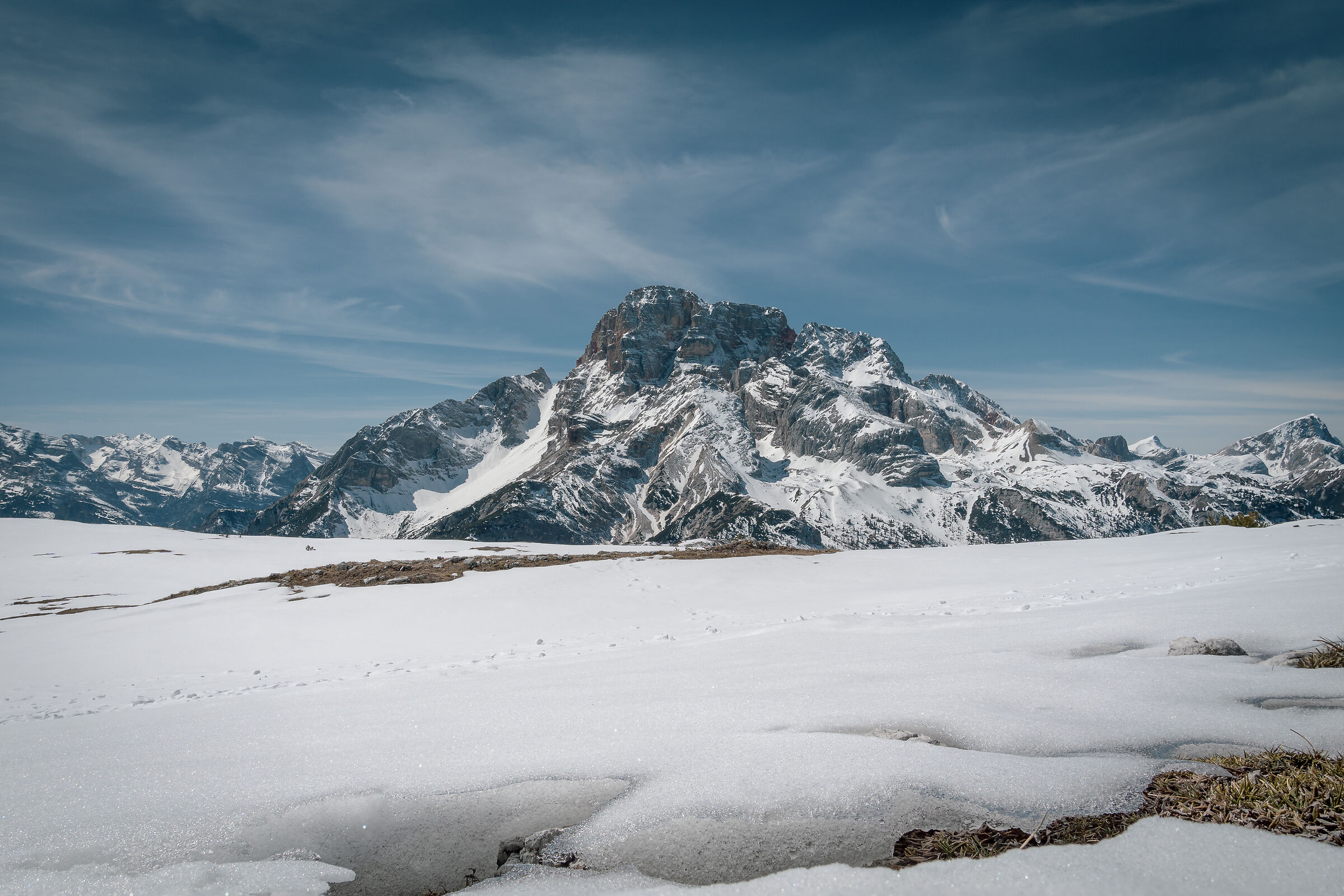 Monte Specie