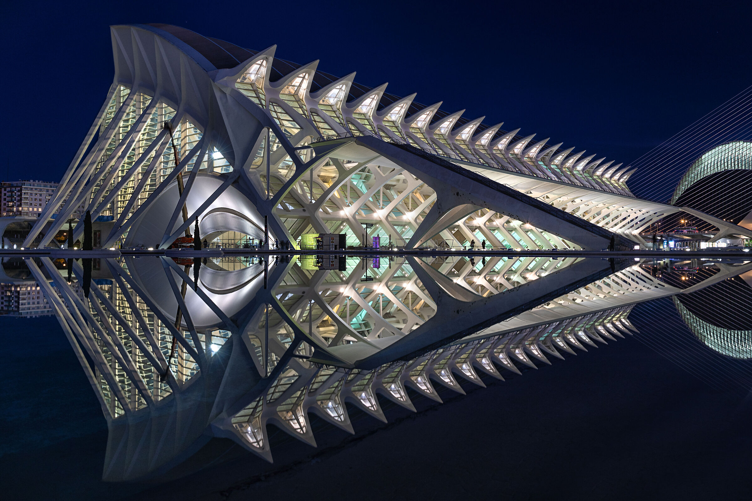 La lisca di Calatrava