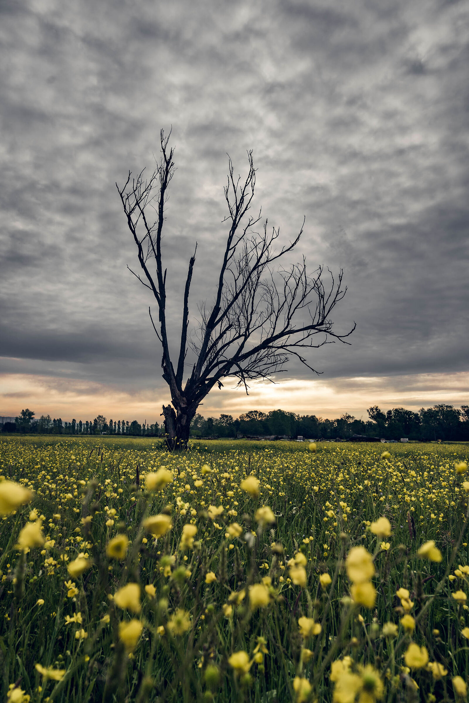 Spring contrasts