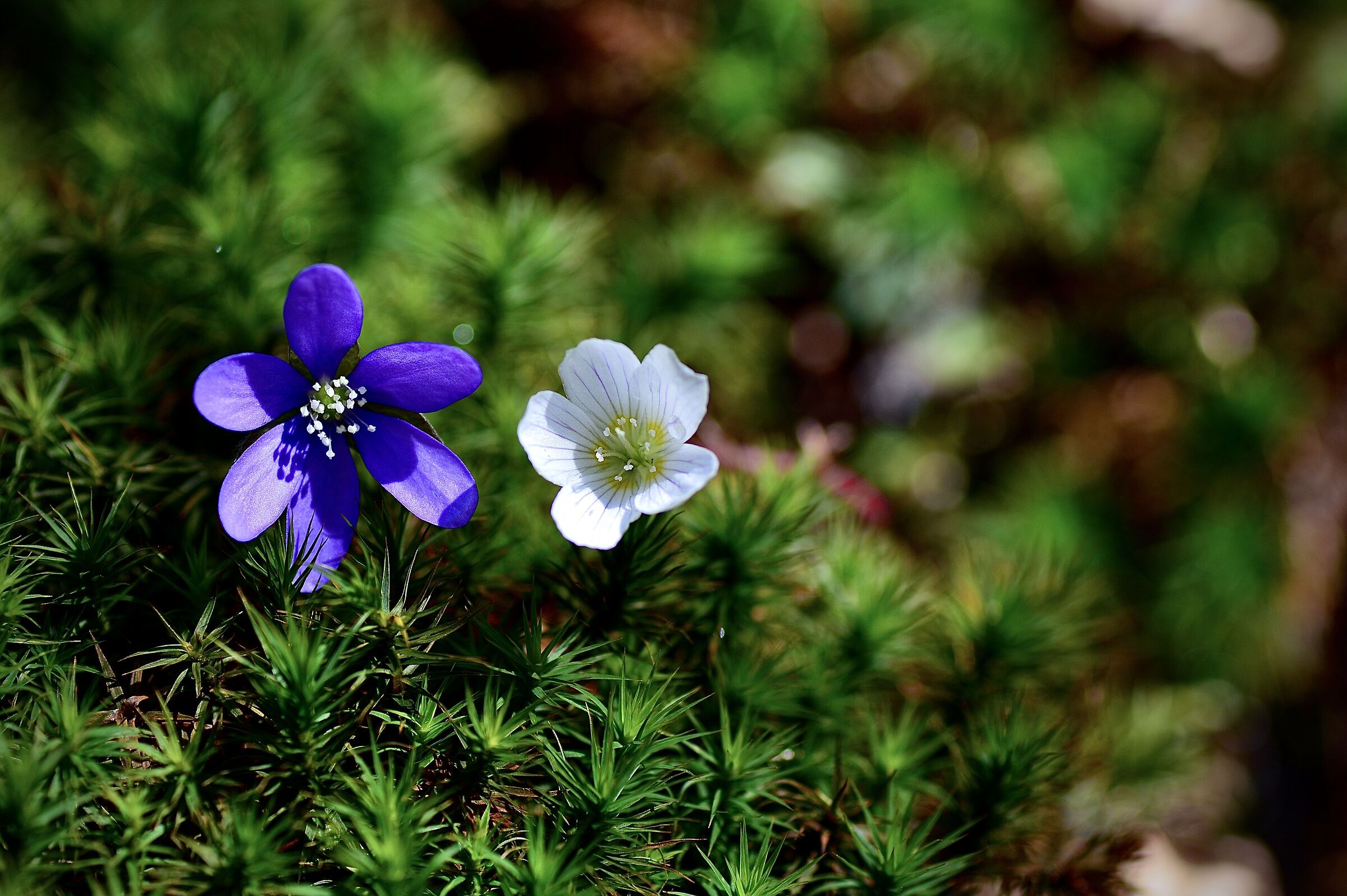 ... a strange couple...