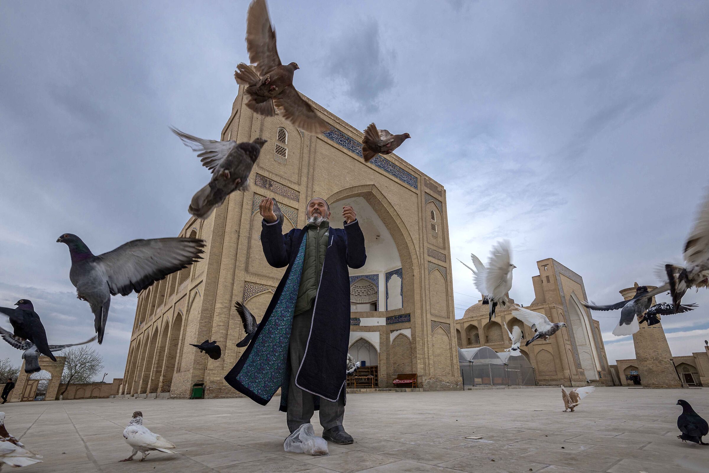 The Lord of the Birds