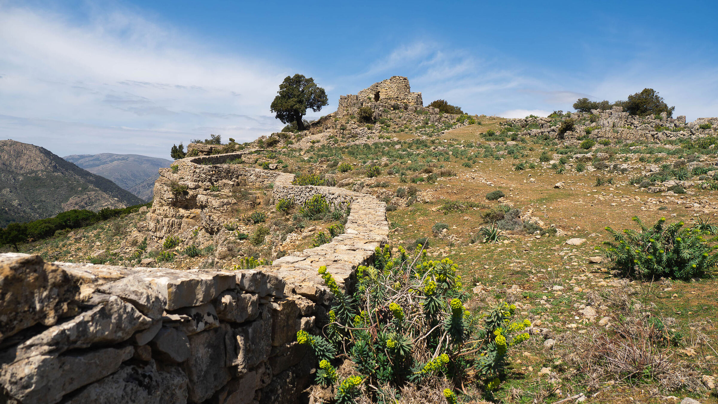Nuraghe Ardasai
