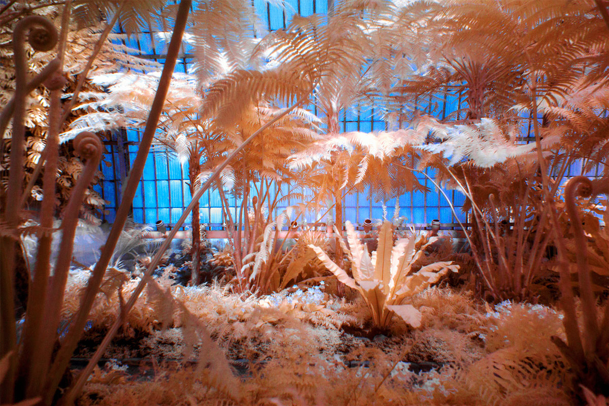 royal greenhouses - brussels