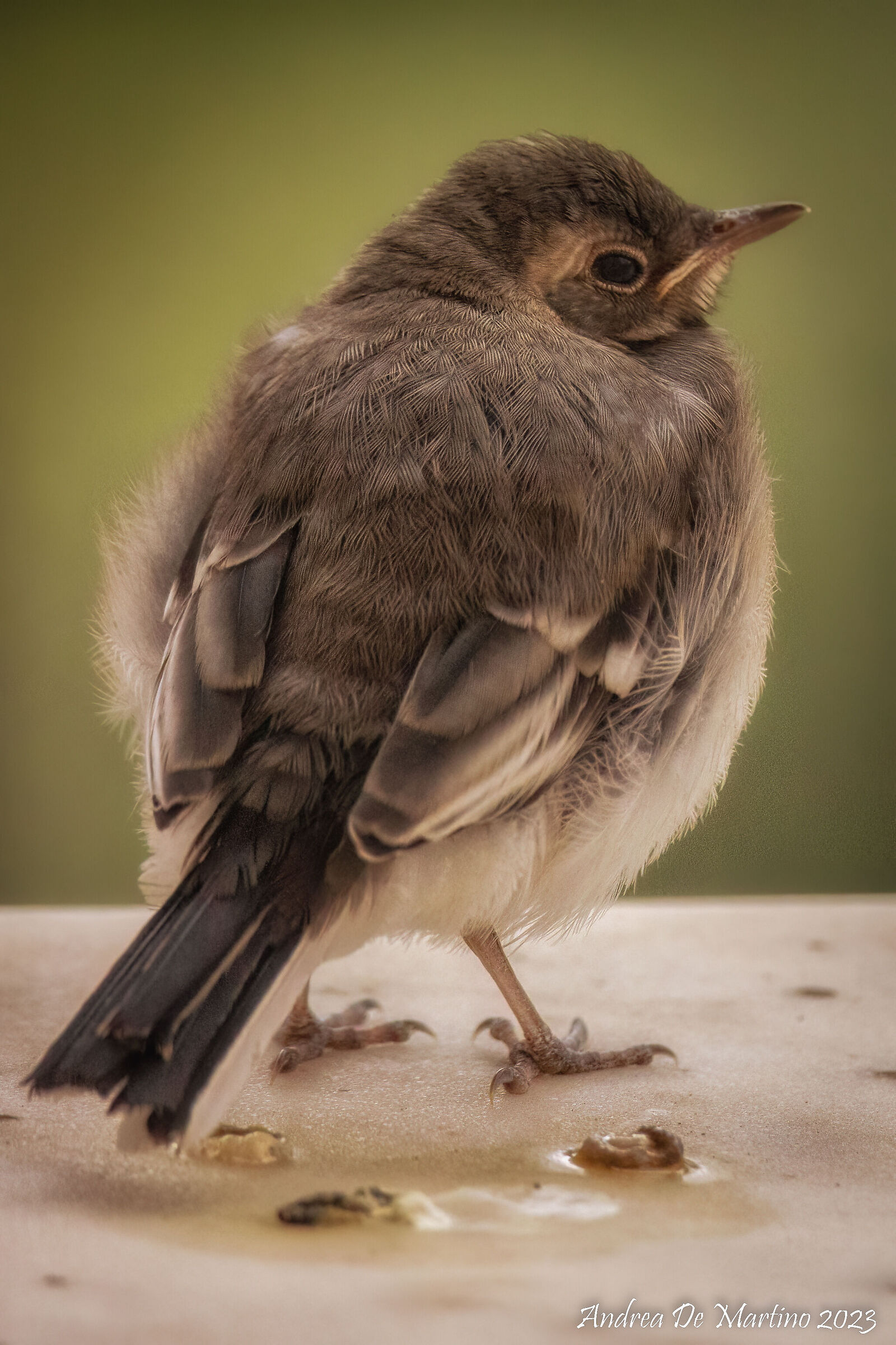 Una visita che lascia il segno....