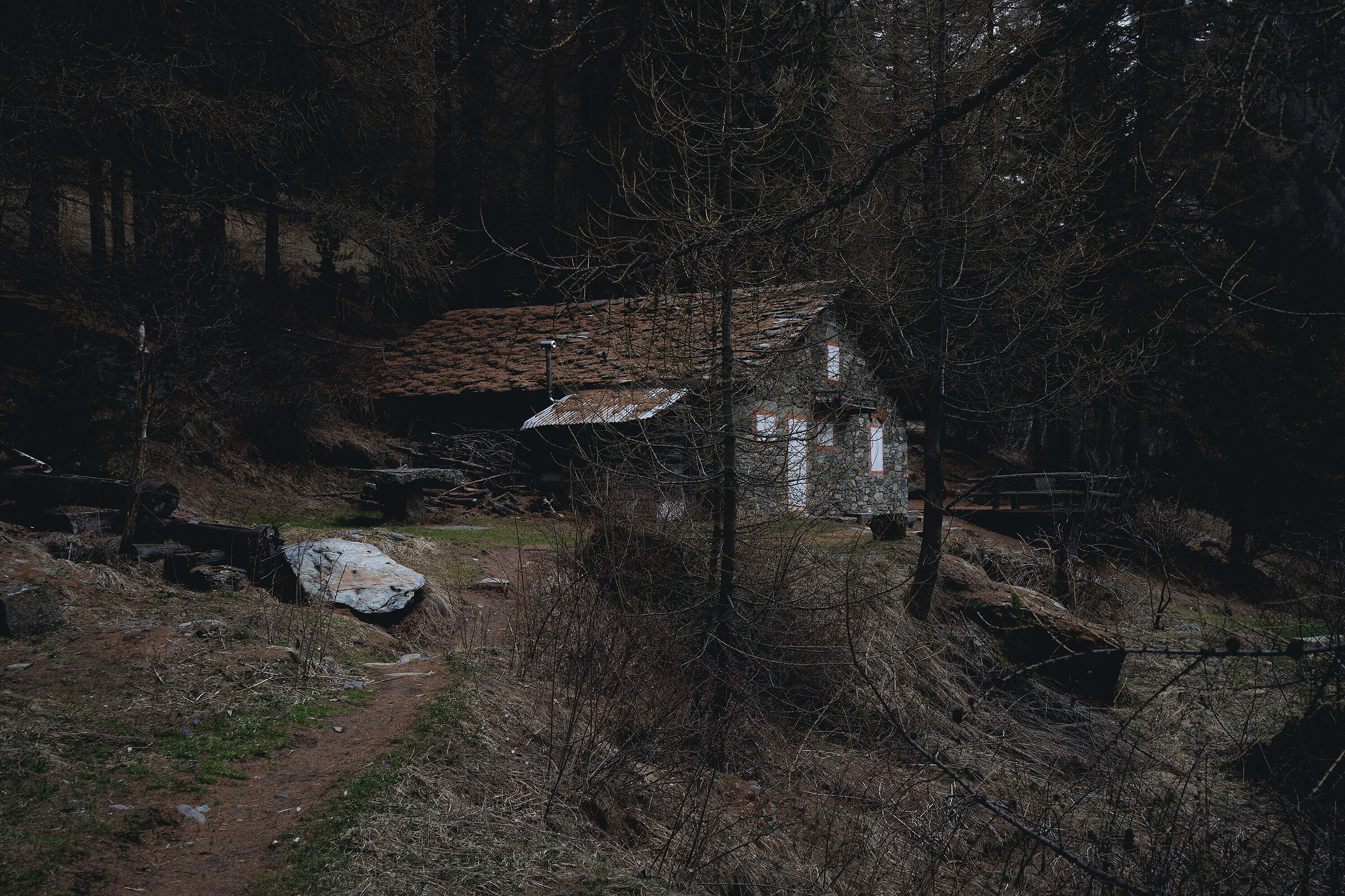 La casetta nel bosco