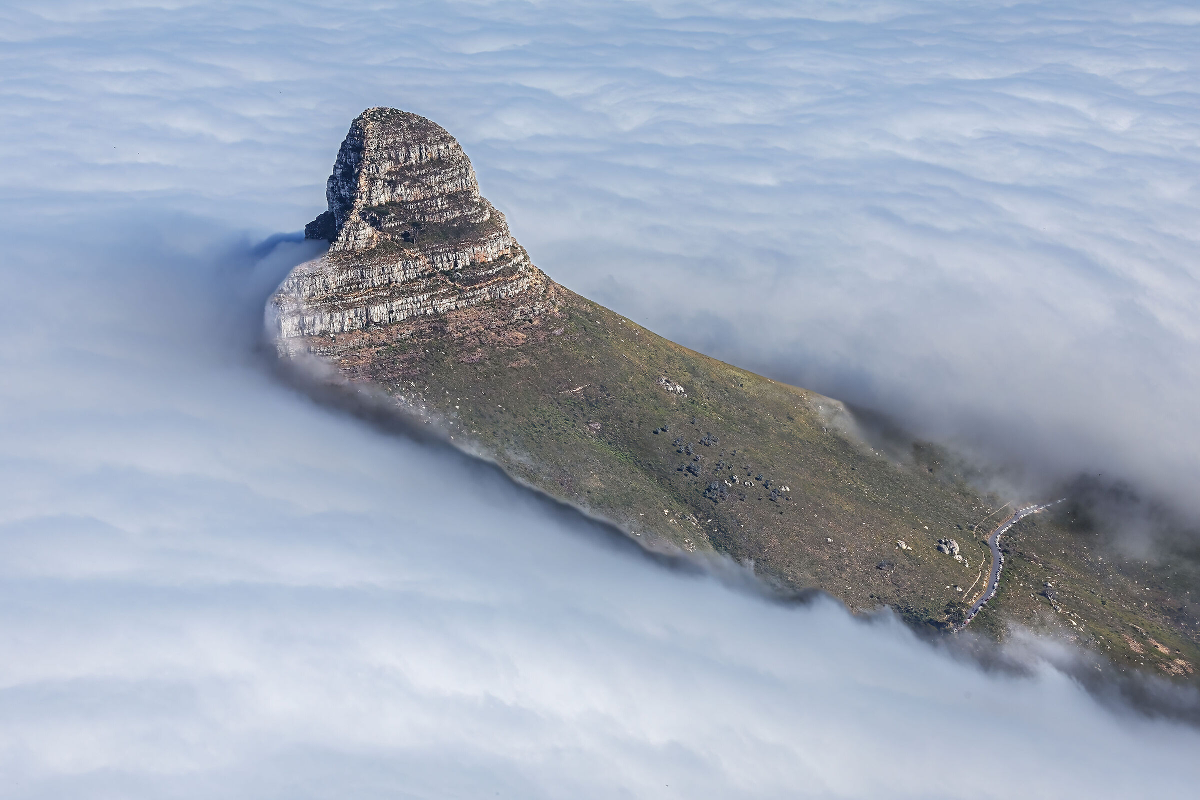 Lion's head from Table Mountain