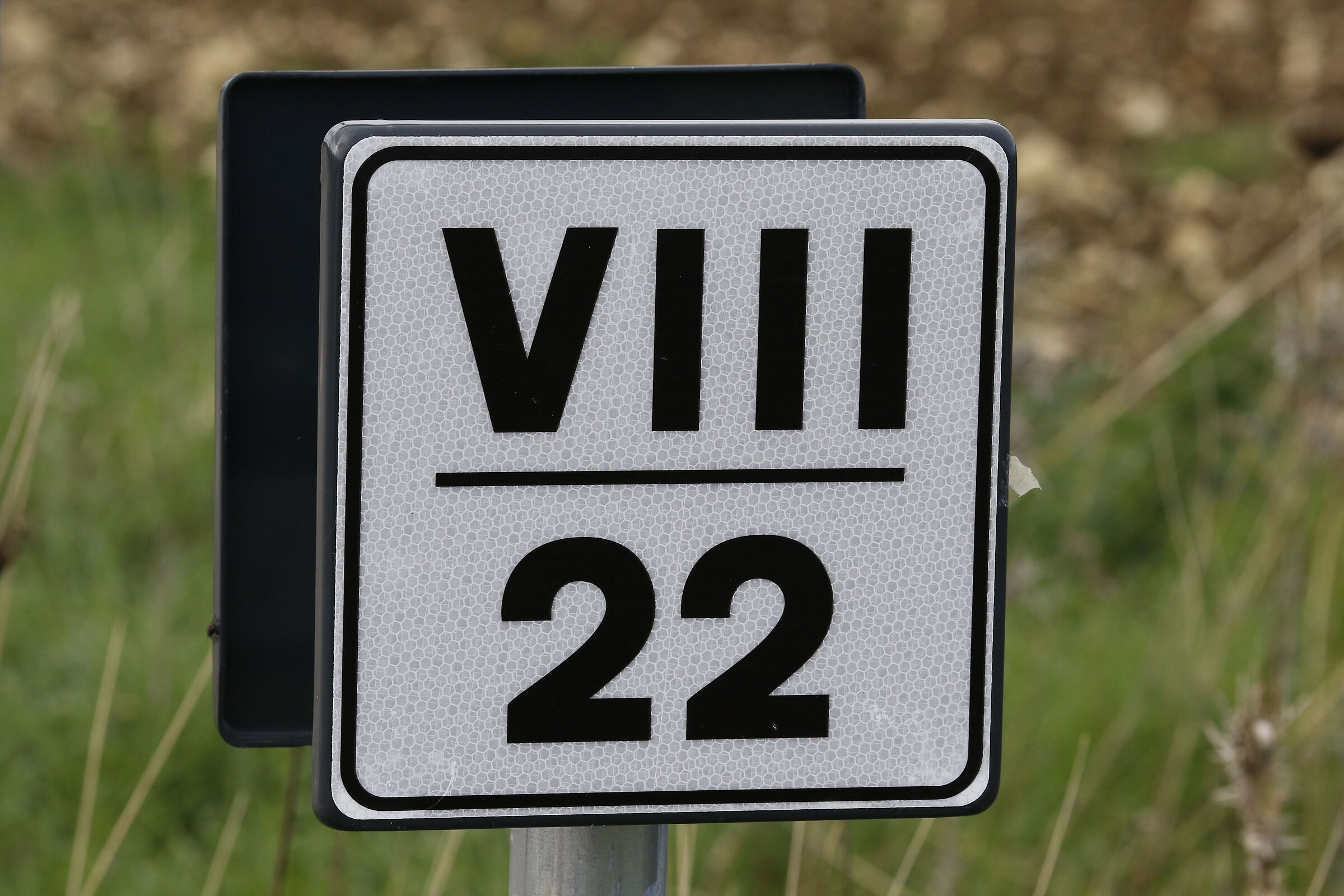 " Crop 216 ", Canon 135 F. 2 L Usm - 7 D II