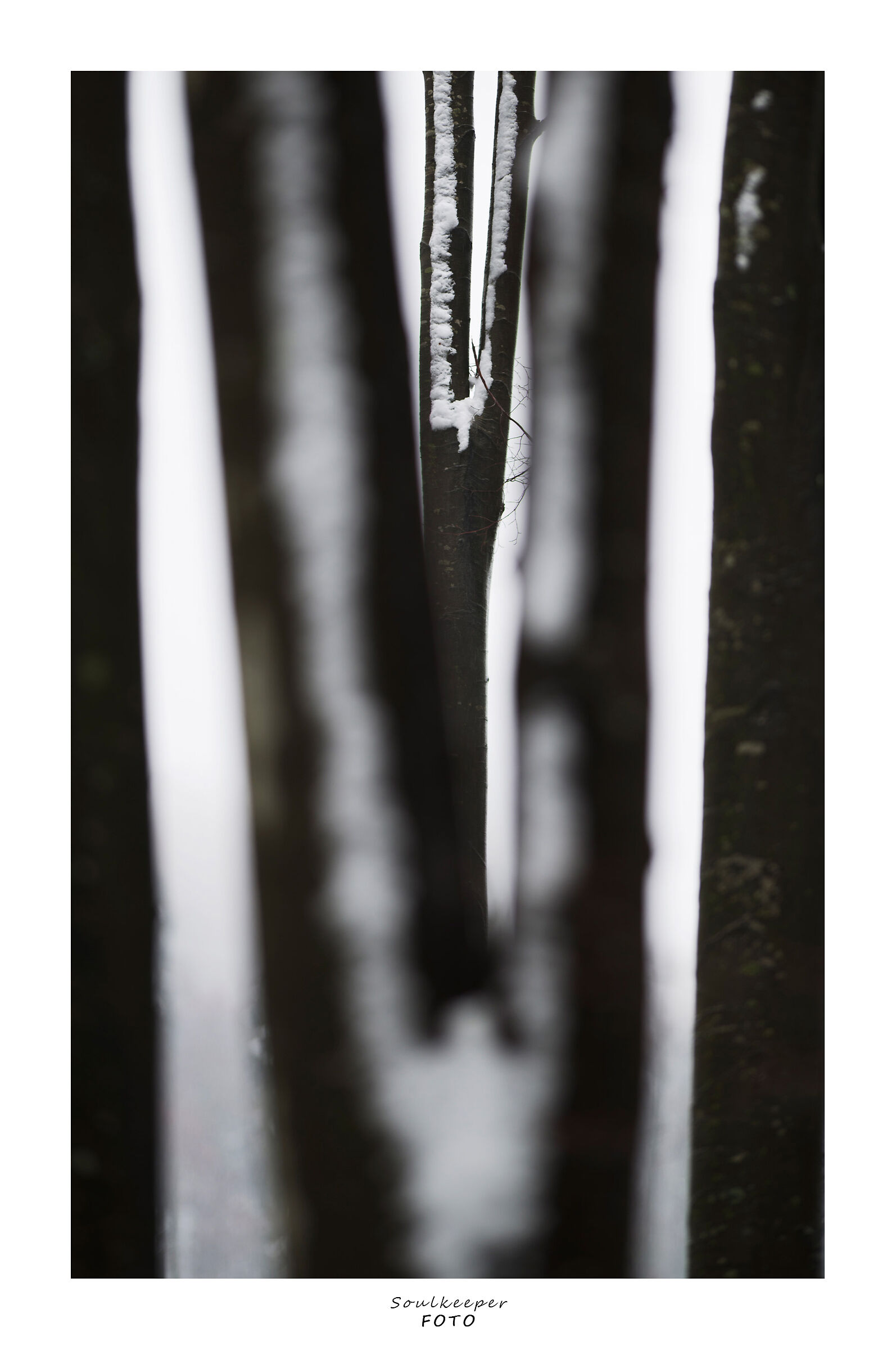 Misalignments... Natural.