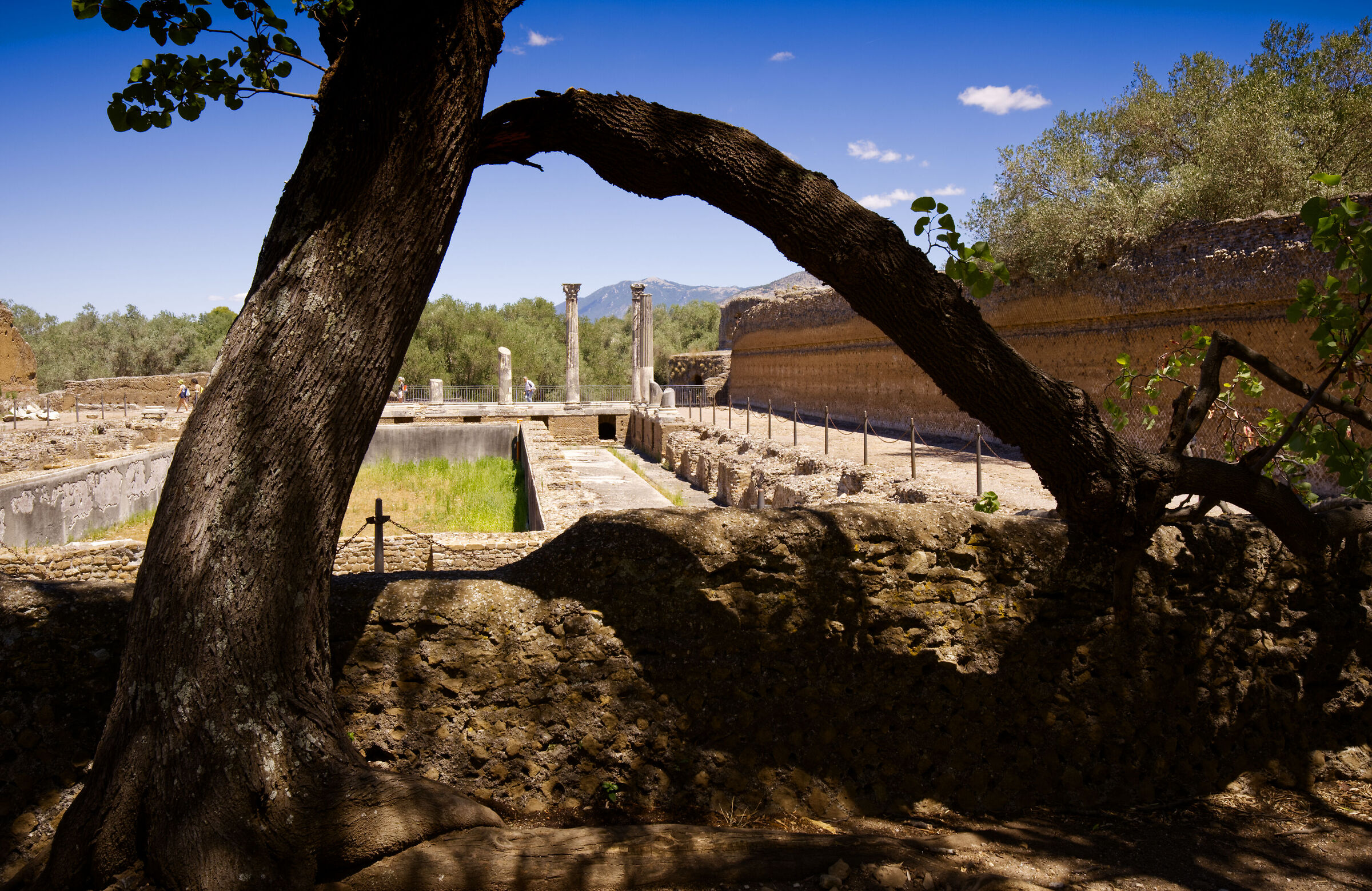 All'ombra delle rovine