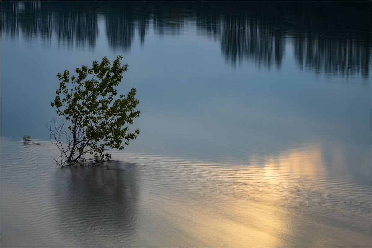 Dichotomy of the Soul