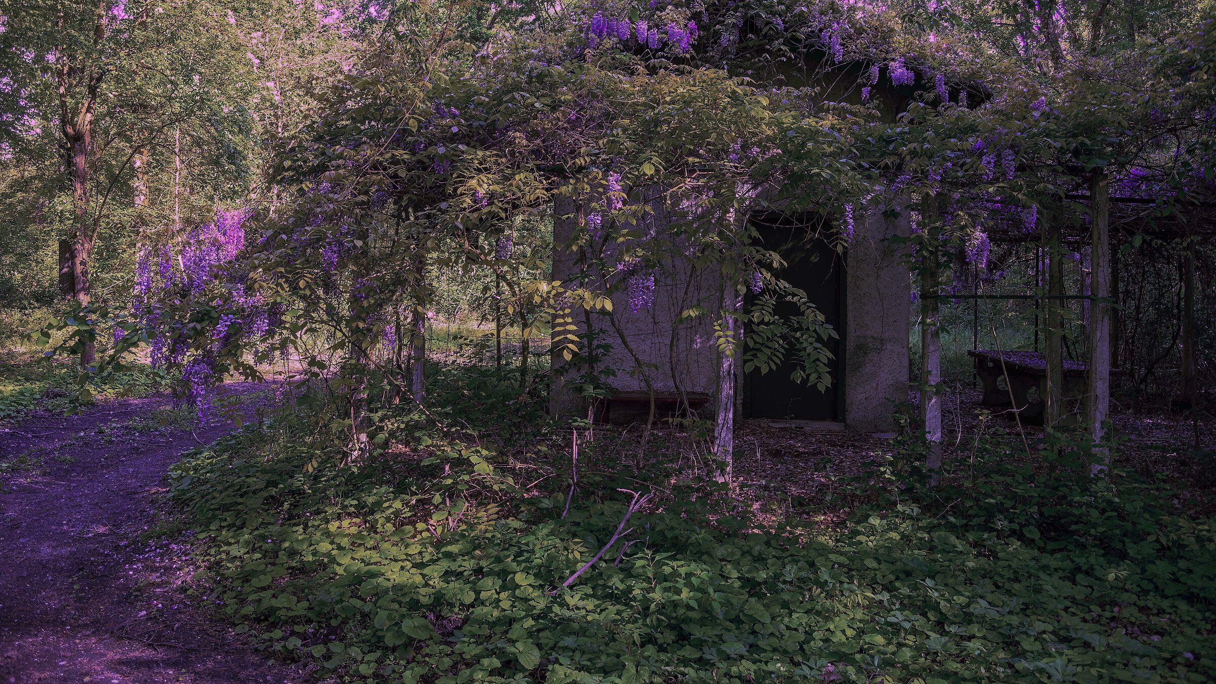 The awakening of nature