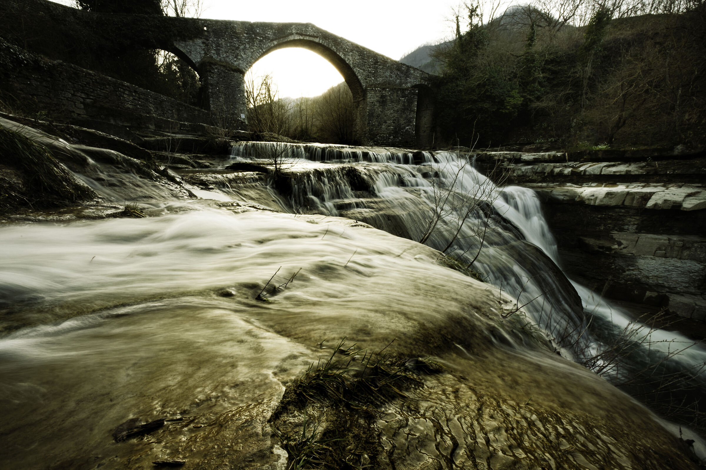 Untitled Photo