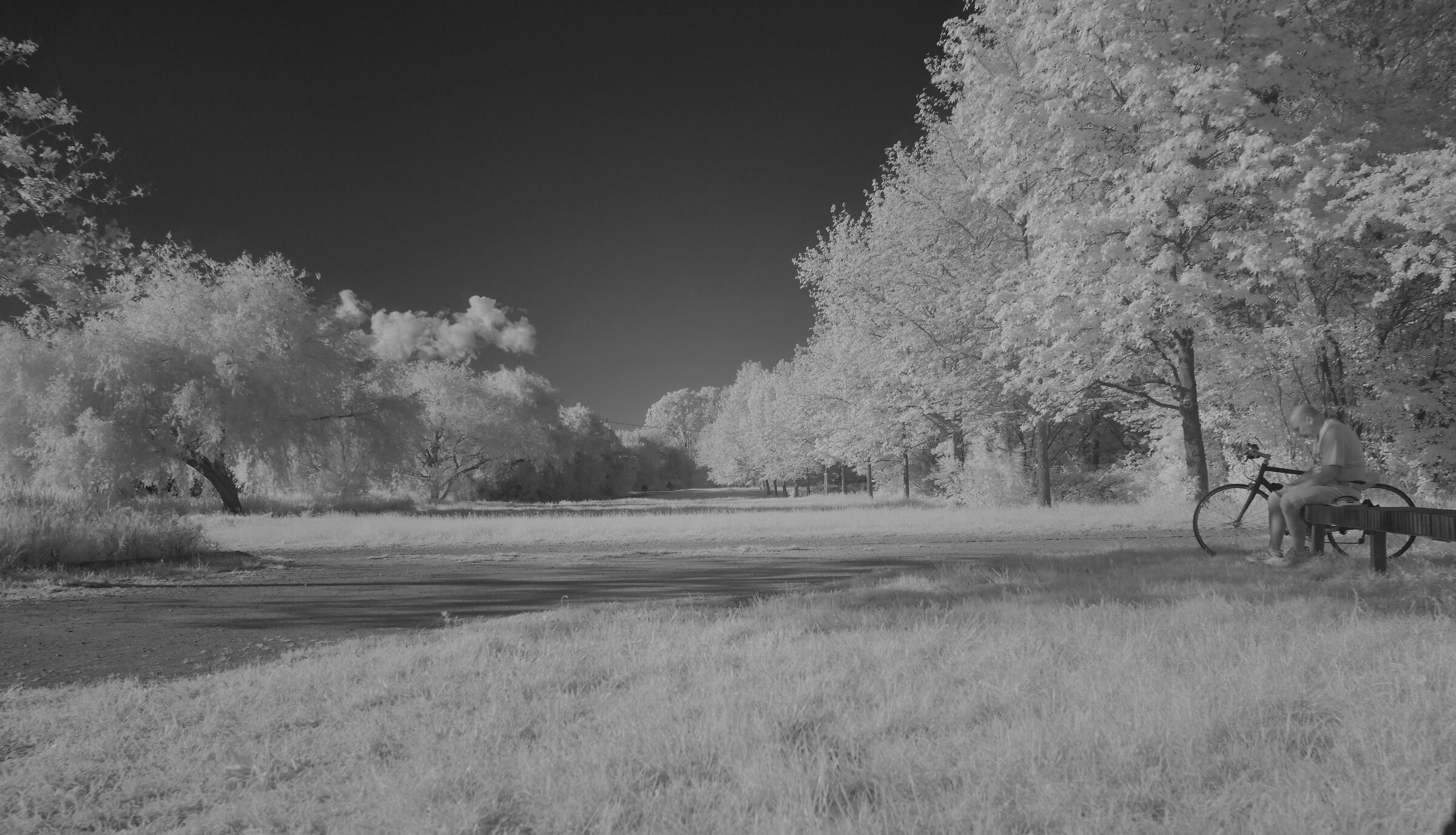 Parco Nord Milano - infrared