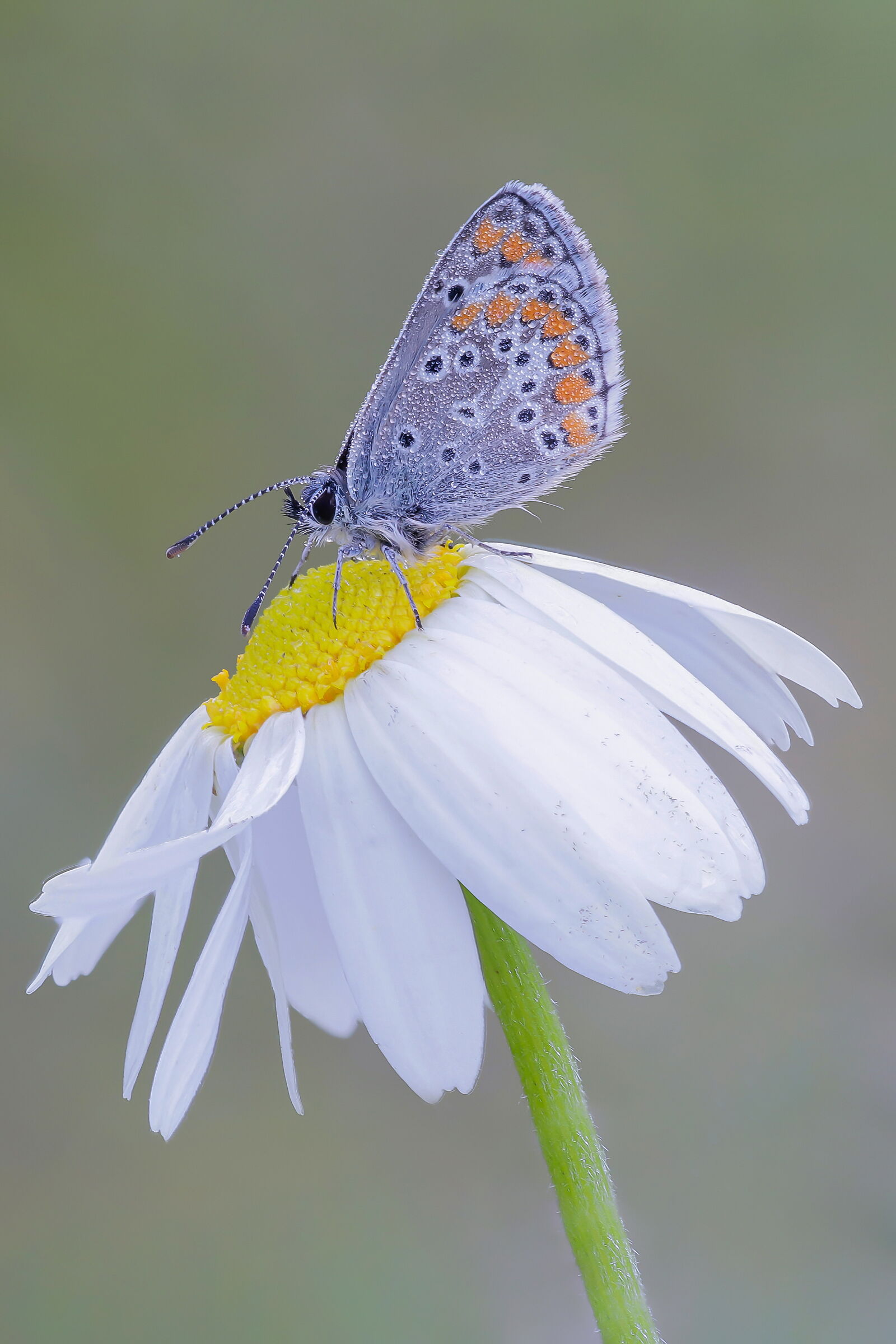 Late April morning cold