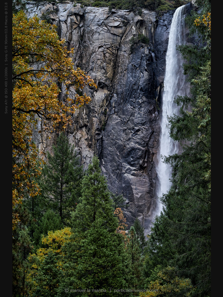 Yosemite Valley View