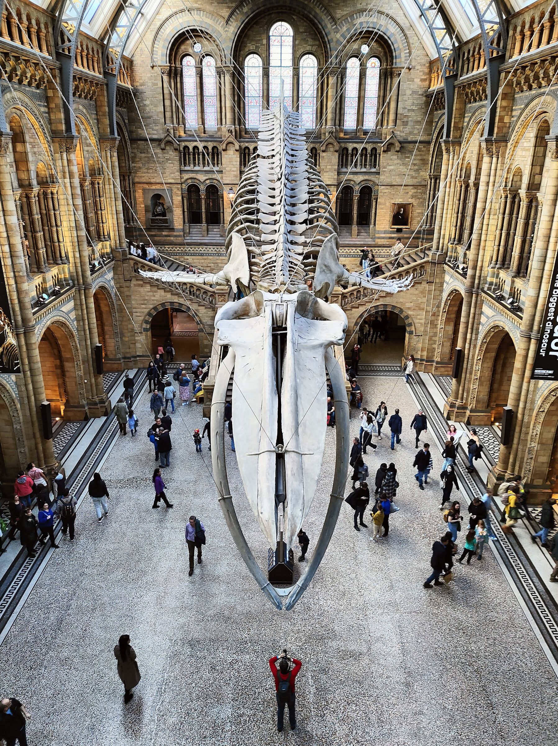 Natural history Museum