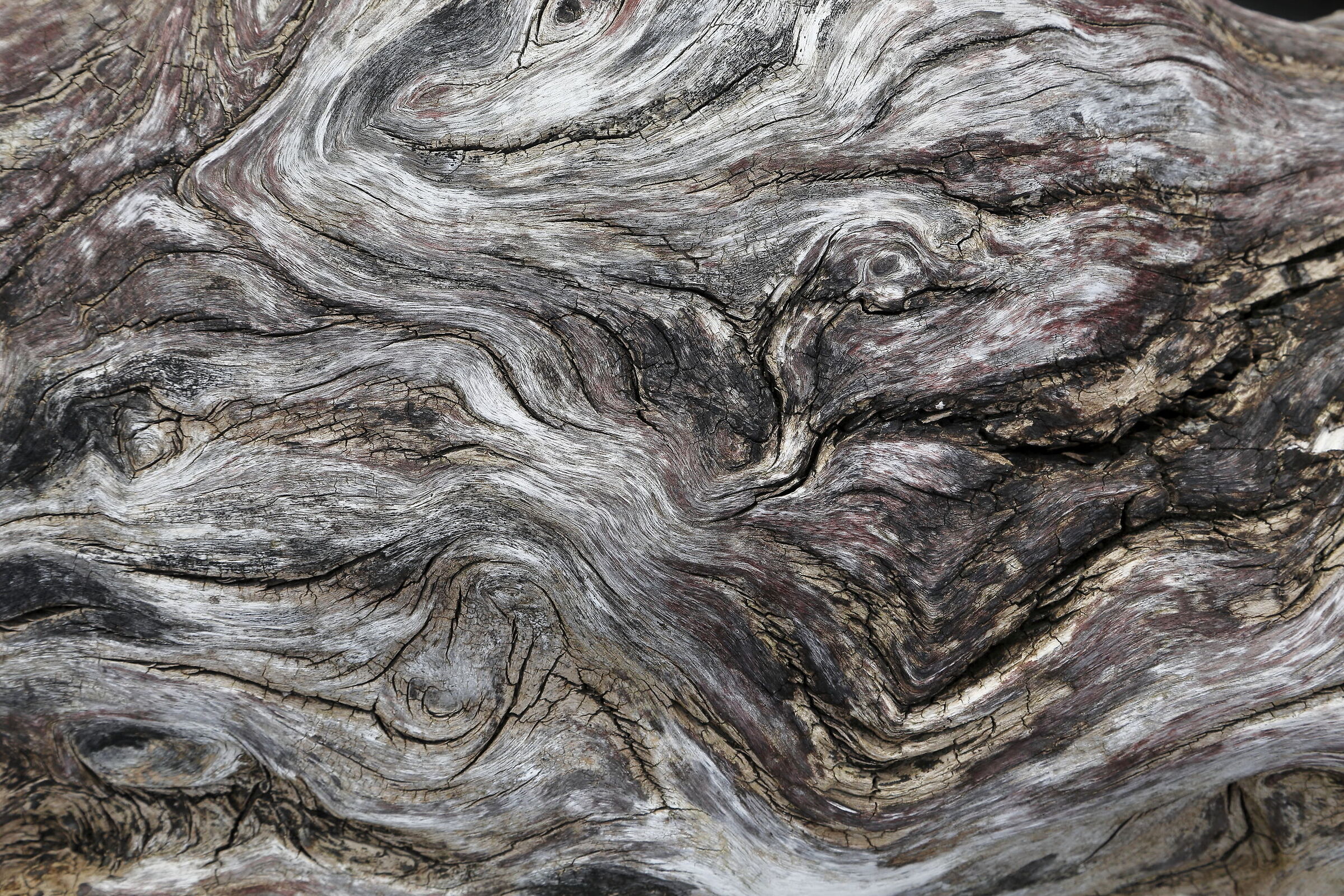 Wood