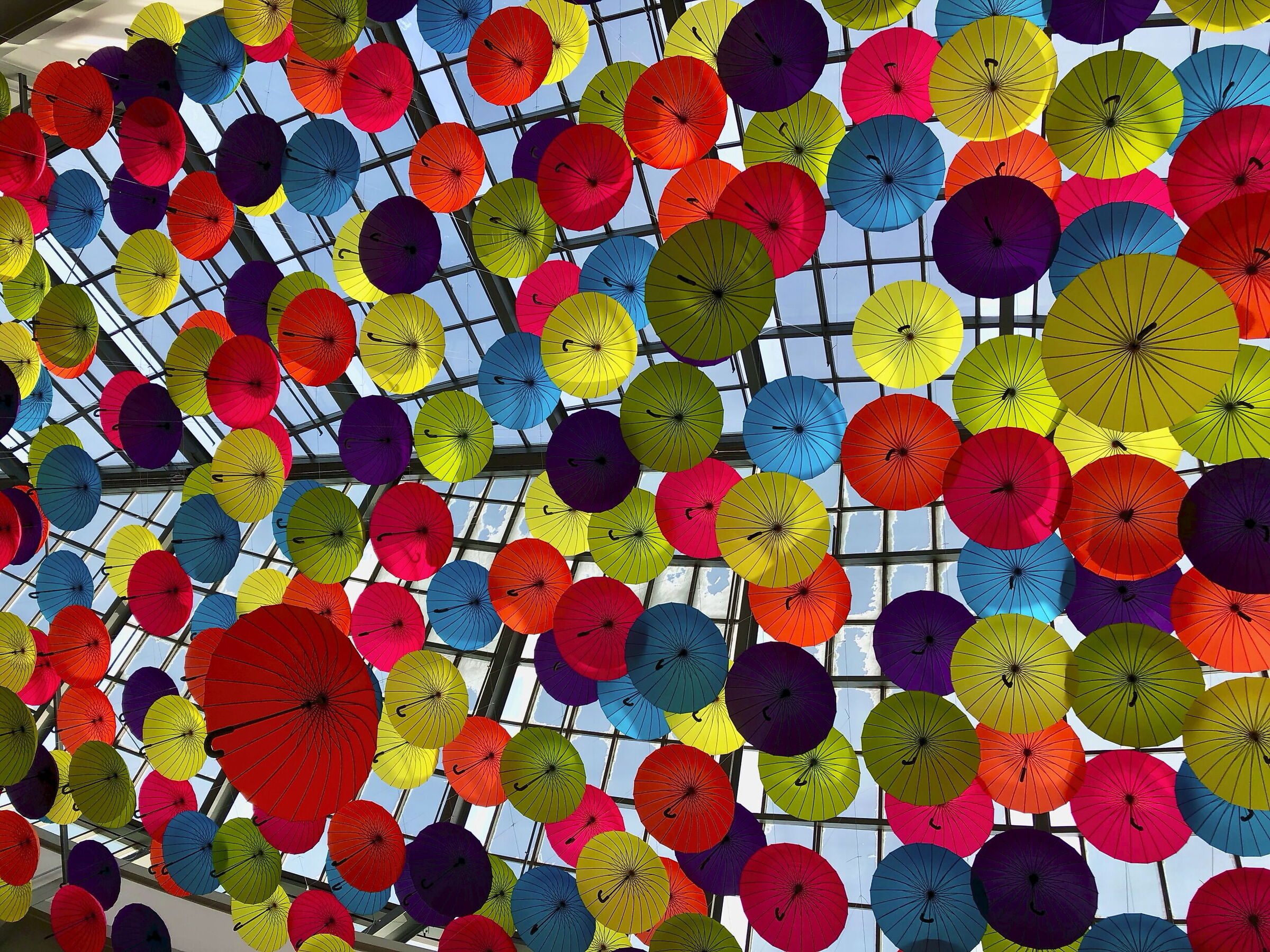 Umbrellas