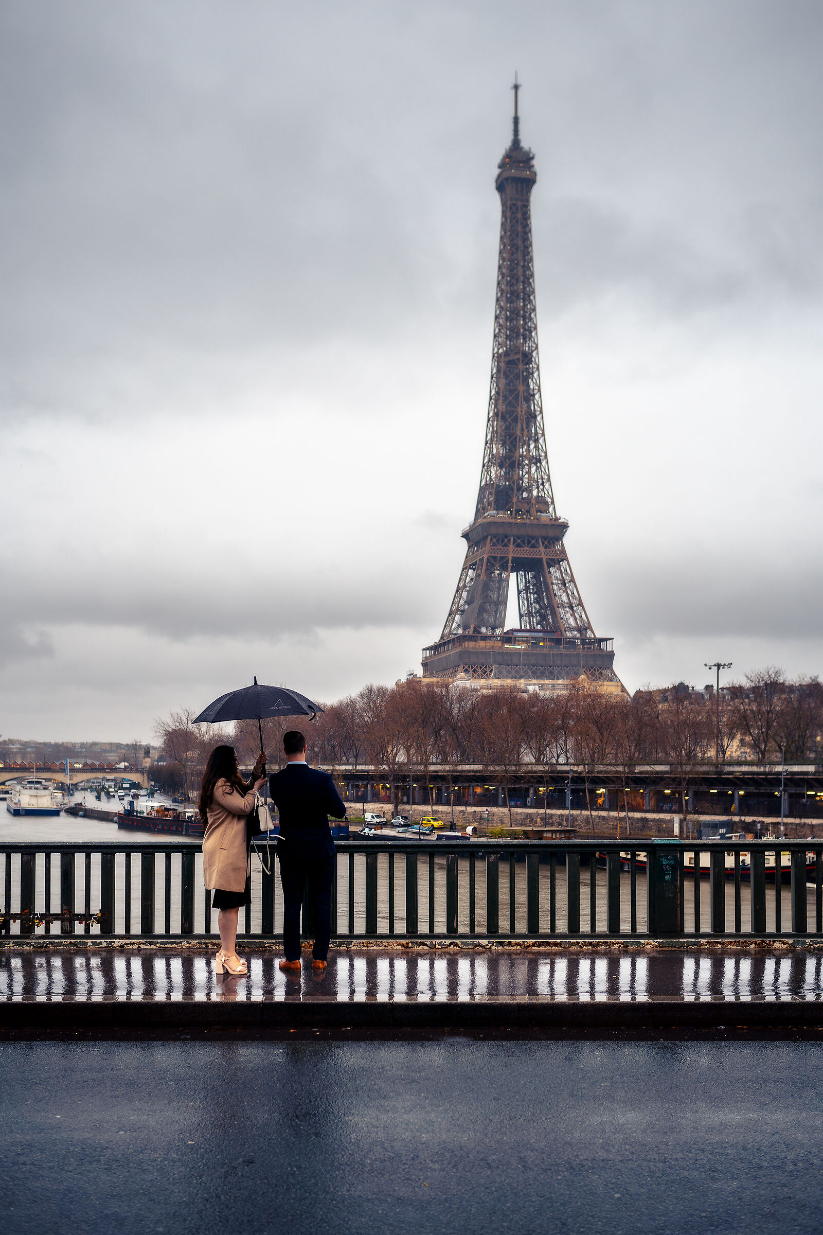Paris in the rain