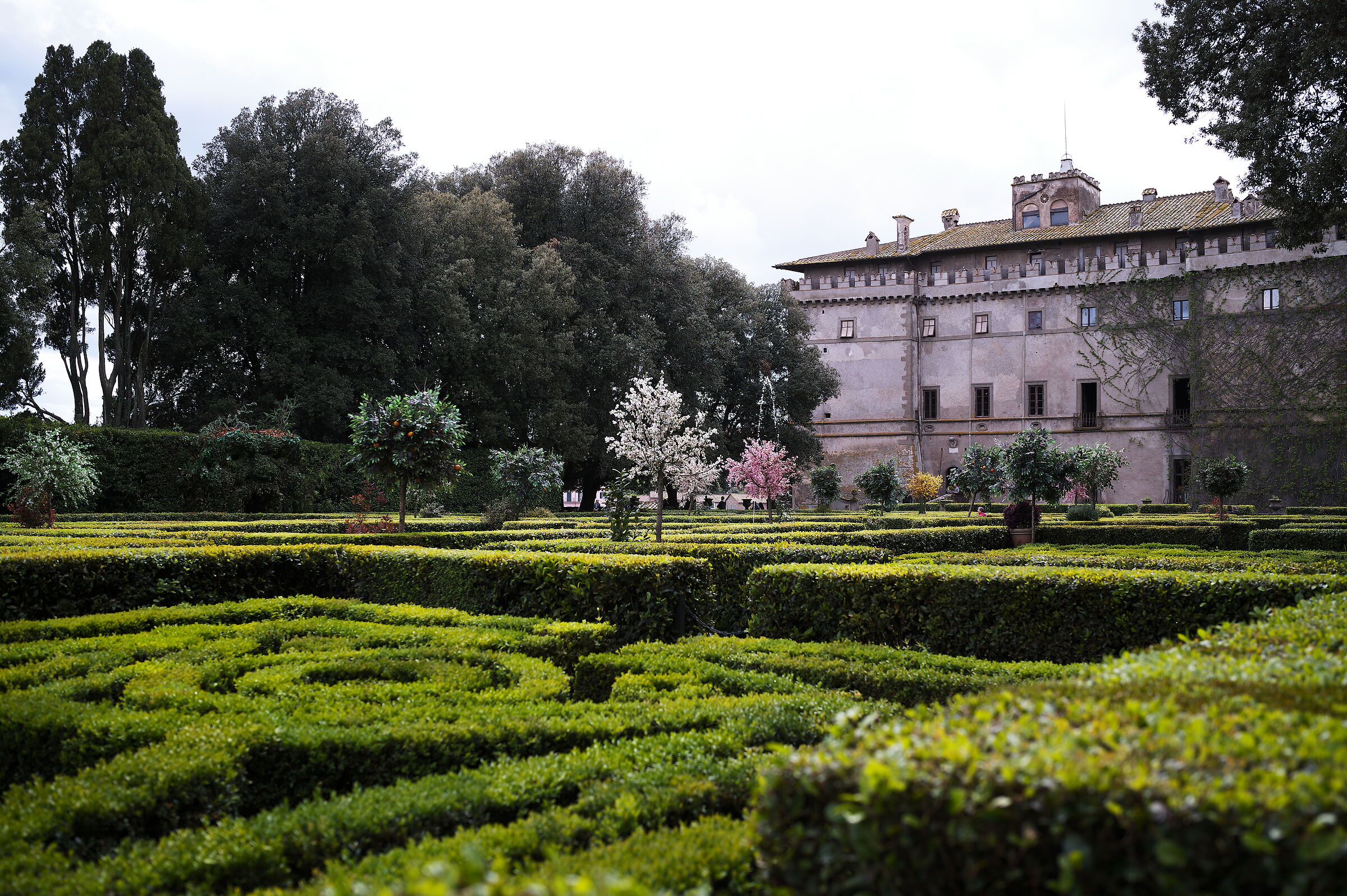 Senza Titolo