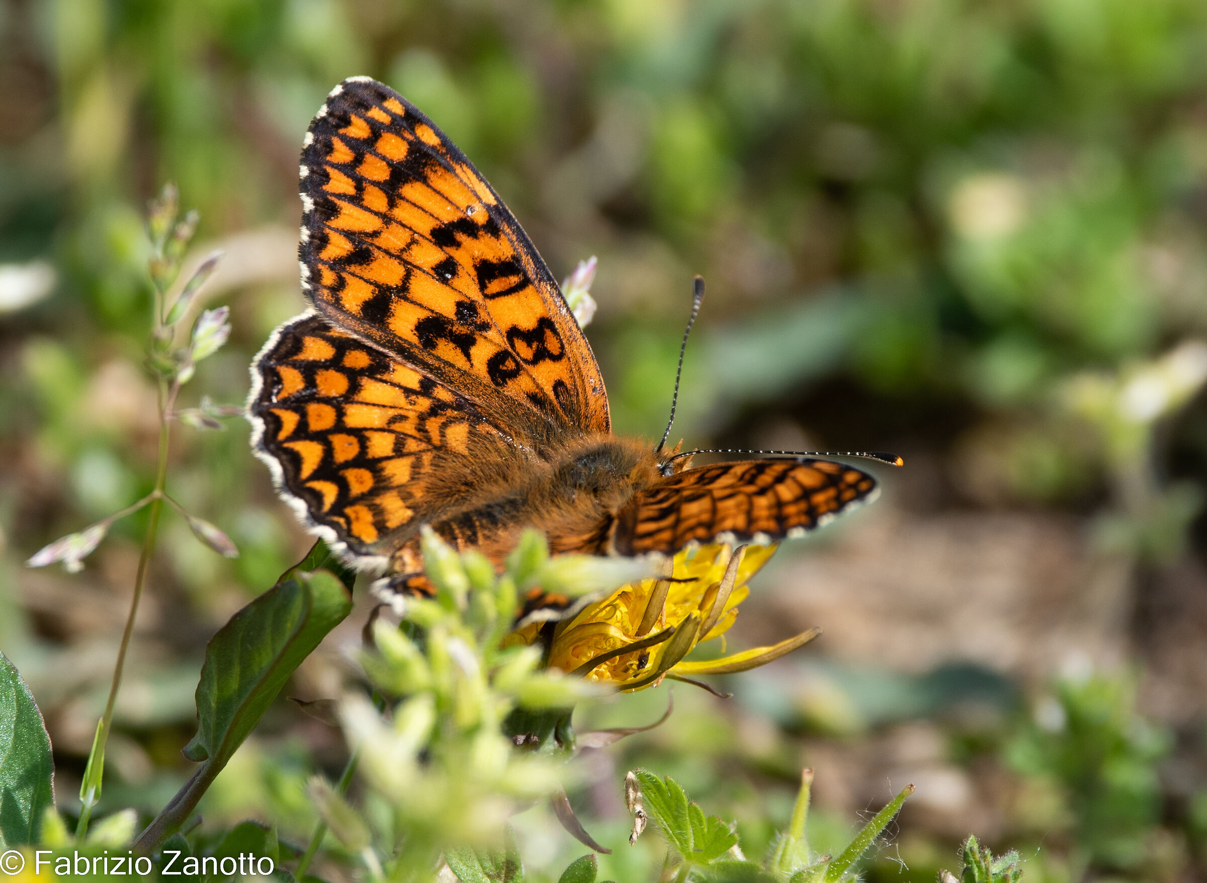 Suddenly you arrived..