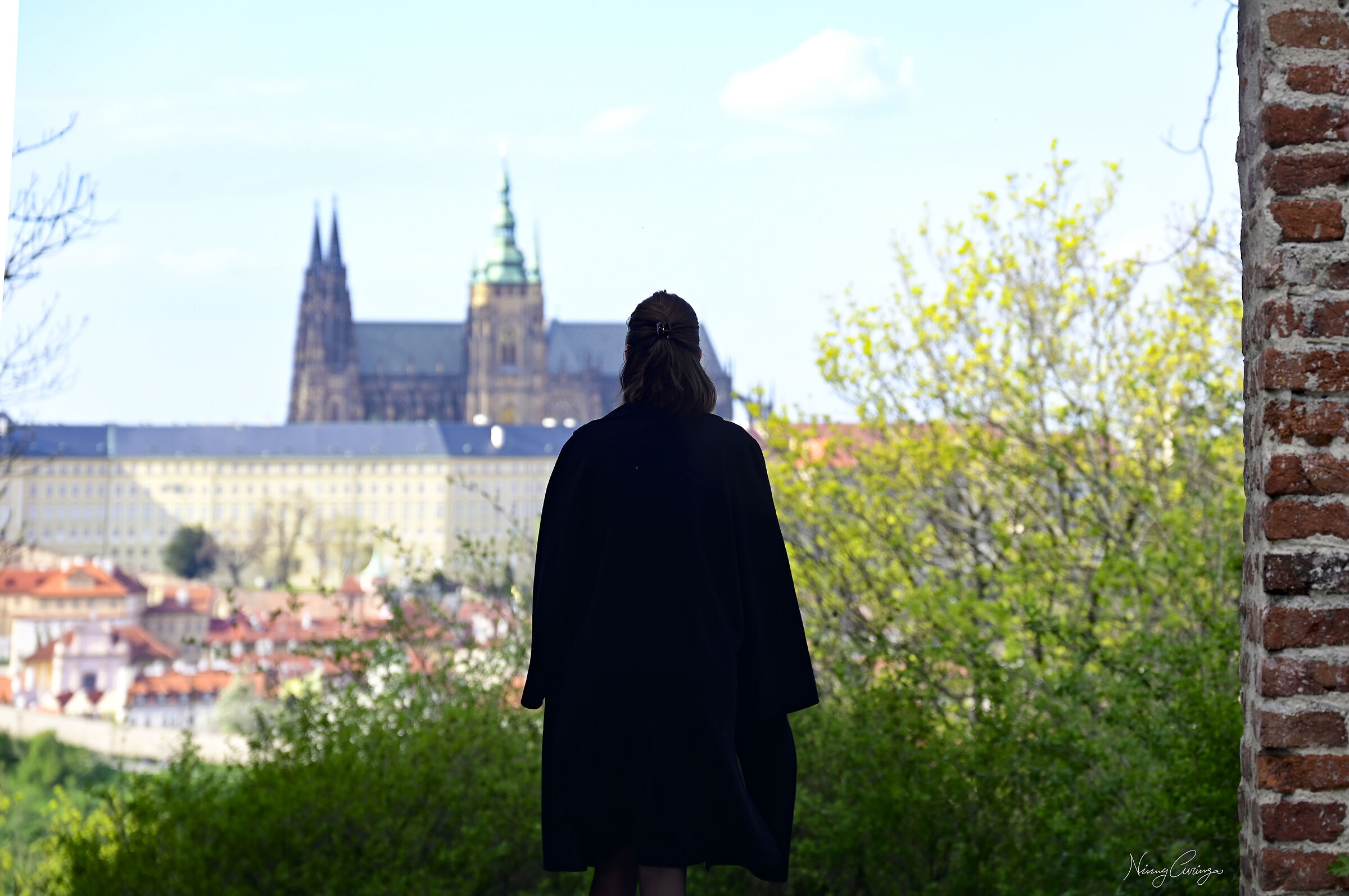 Castello di Praga visto da Hladová ze?