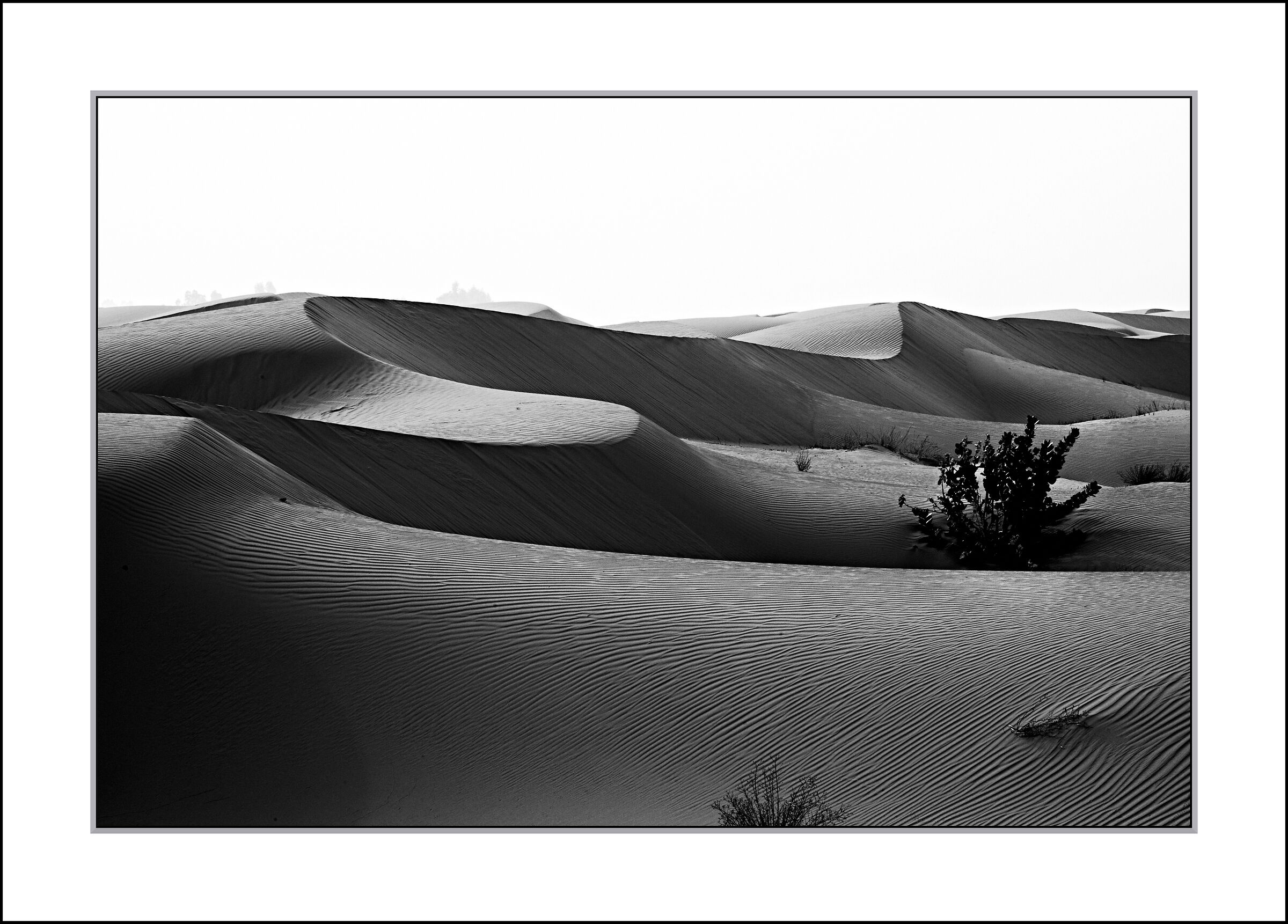 dunes Morocco