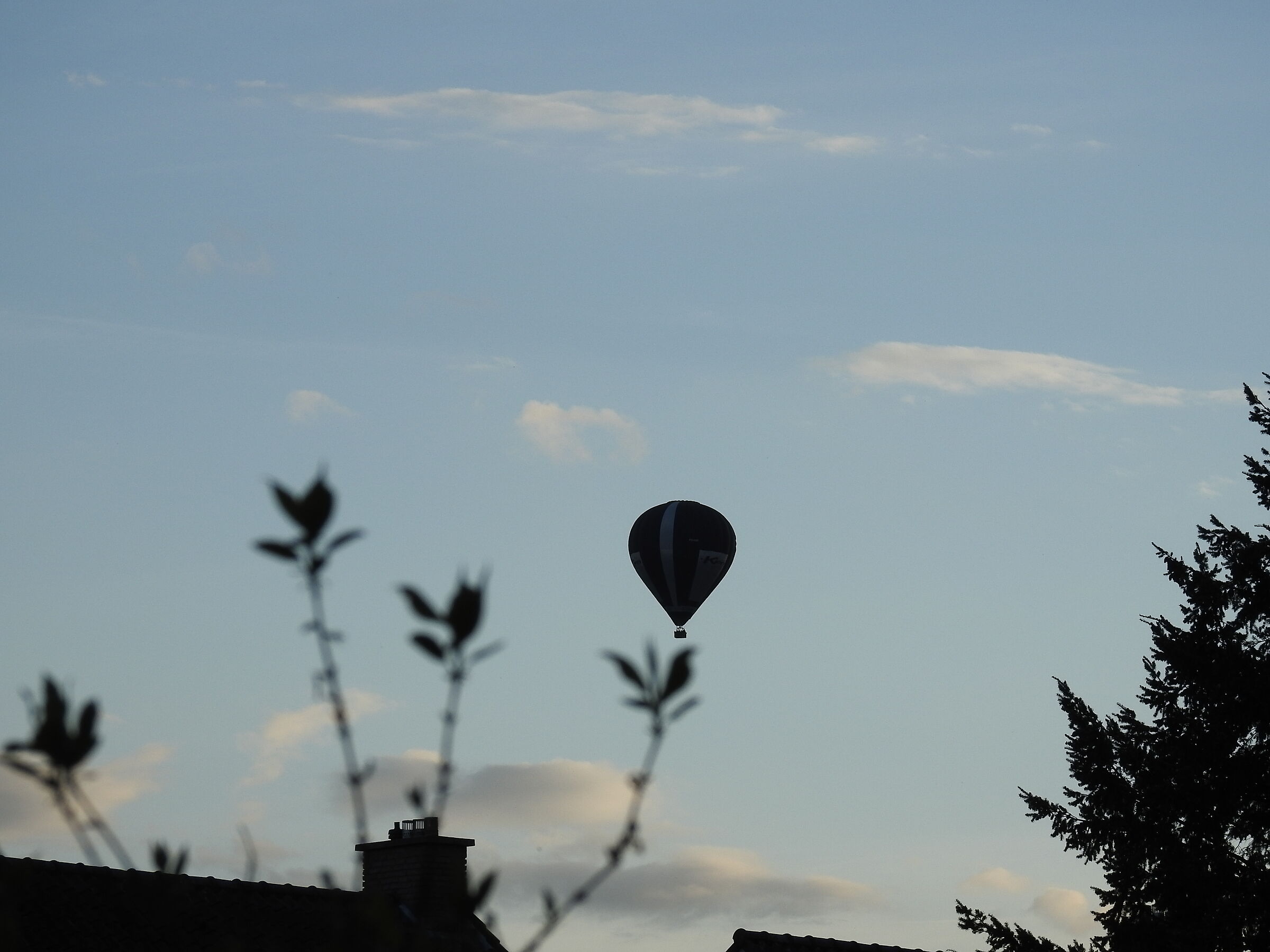 Balloon