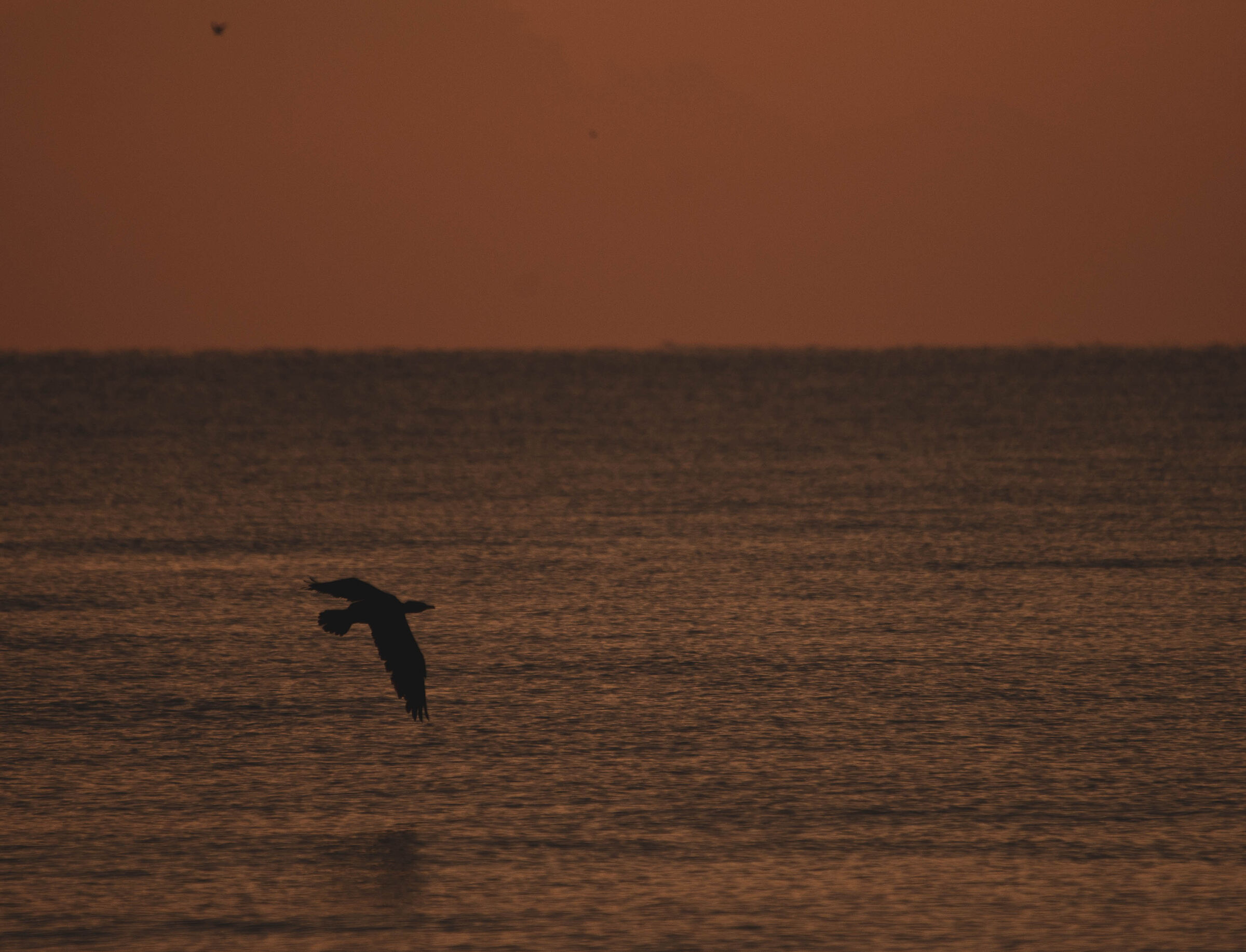With the light of sunset