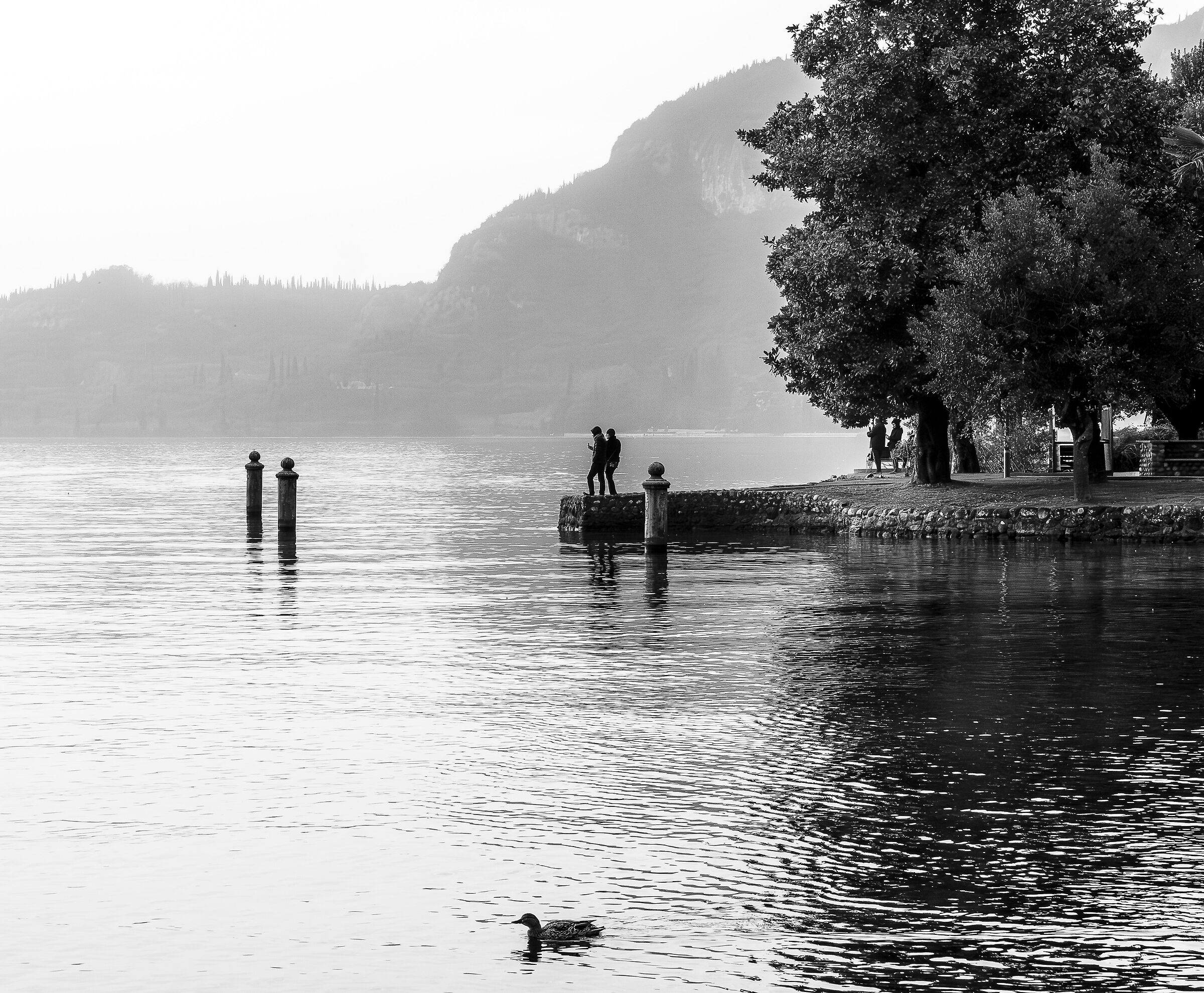 Lake