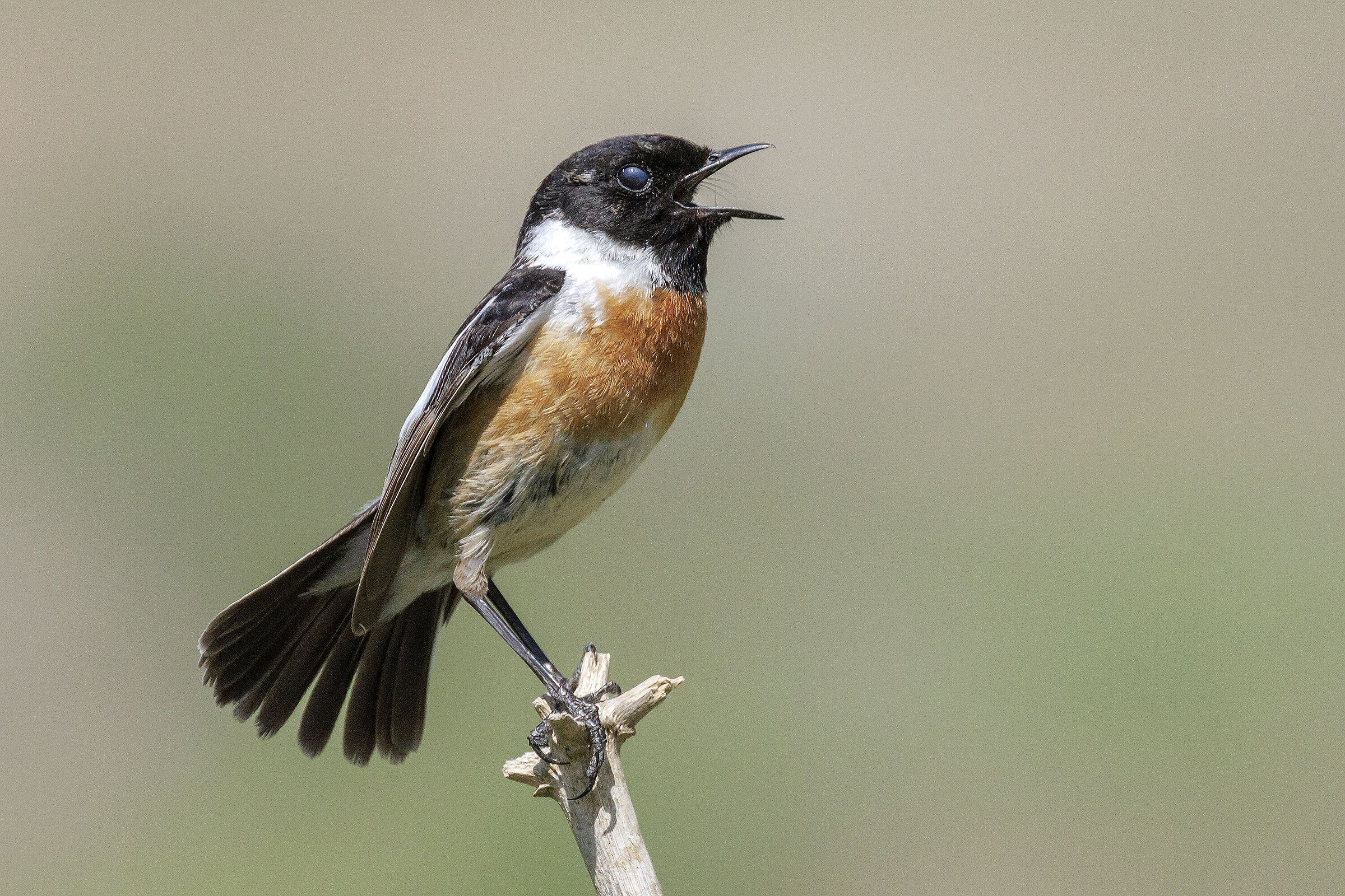 Untitled Photo
