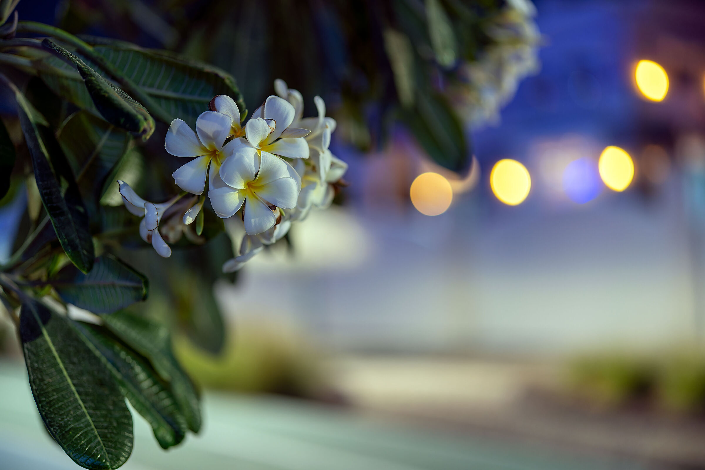 One of the first photos with the Sony 50 GM f/1.4