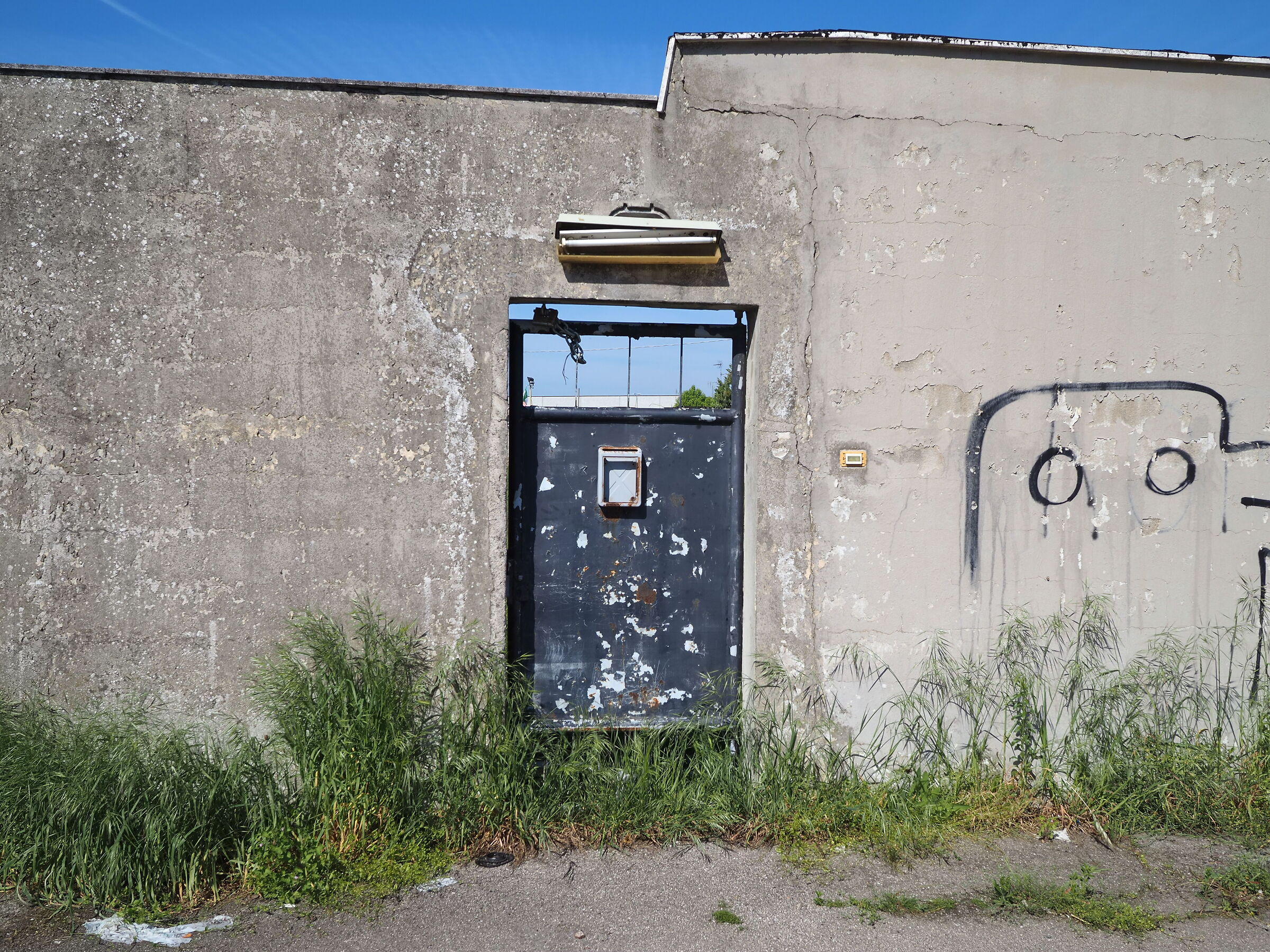 Untitled Photo
